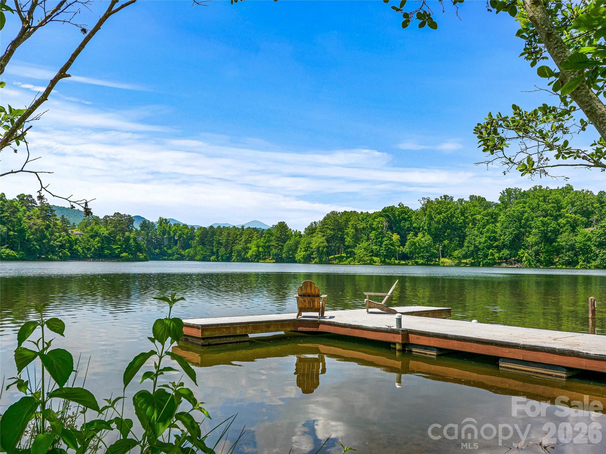 907 Kells Blue Court Property Photo 45