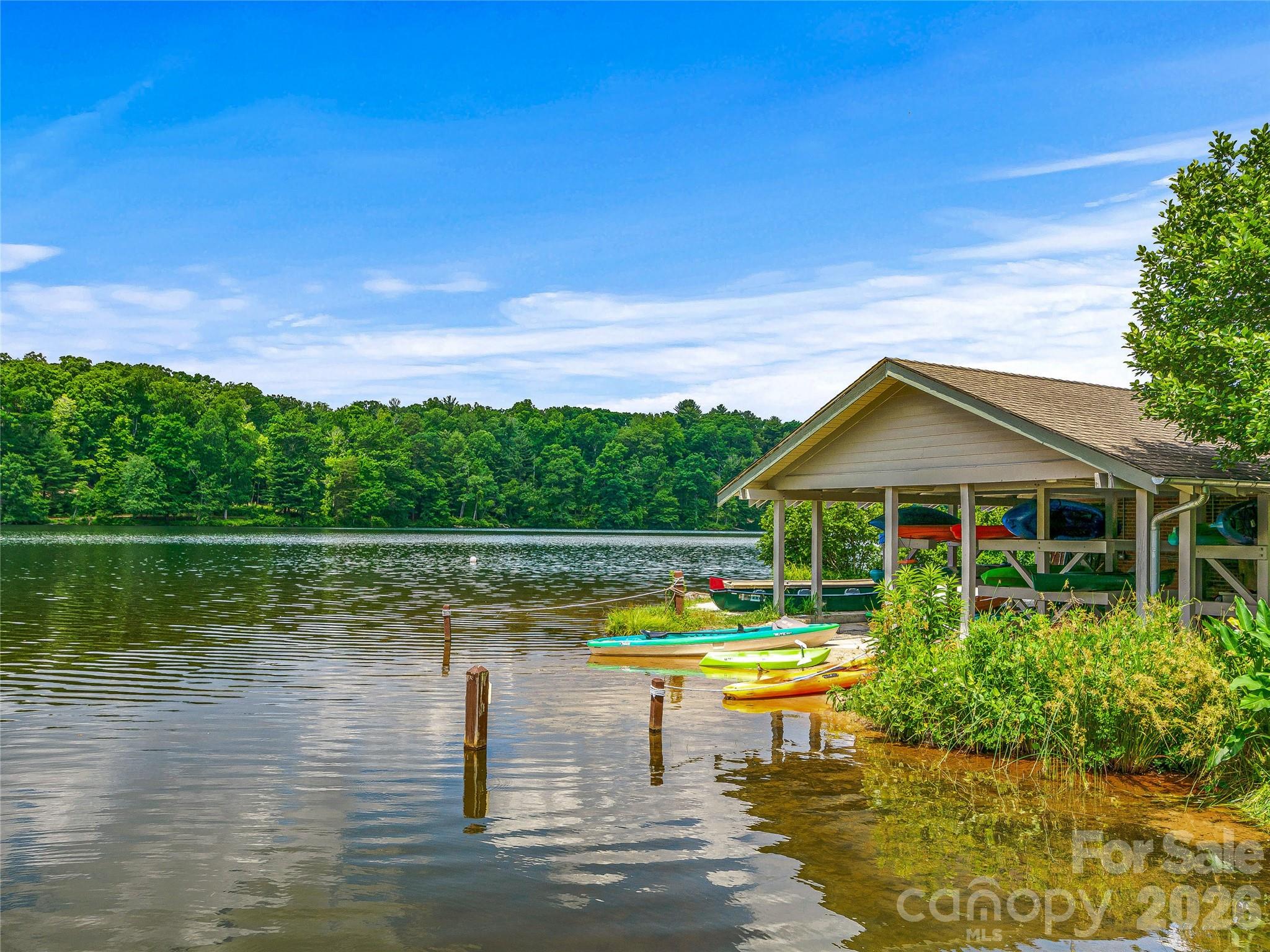907 Kells Blue Court Property Photo 47