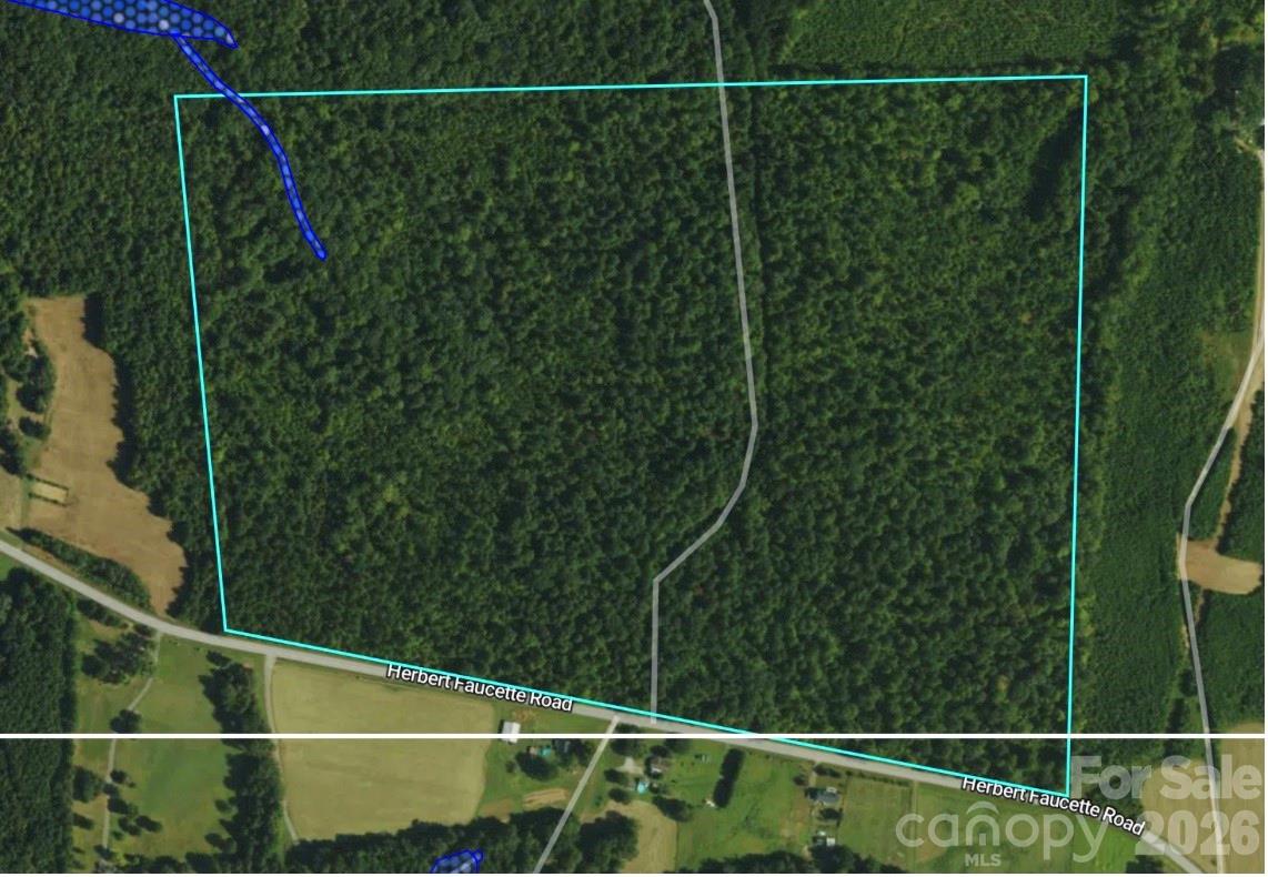 0 Herbert Faucette Road Property Photo 4