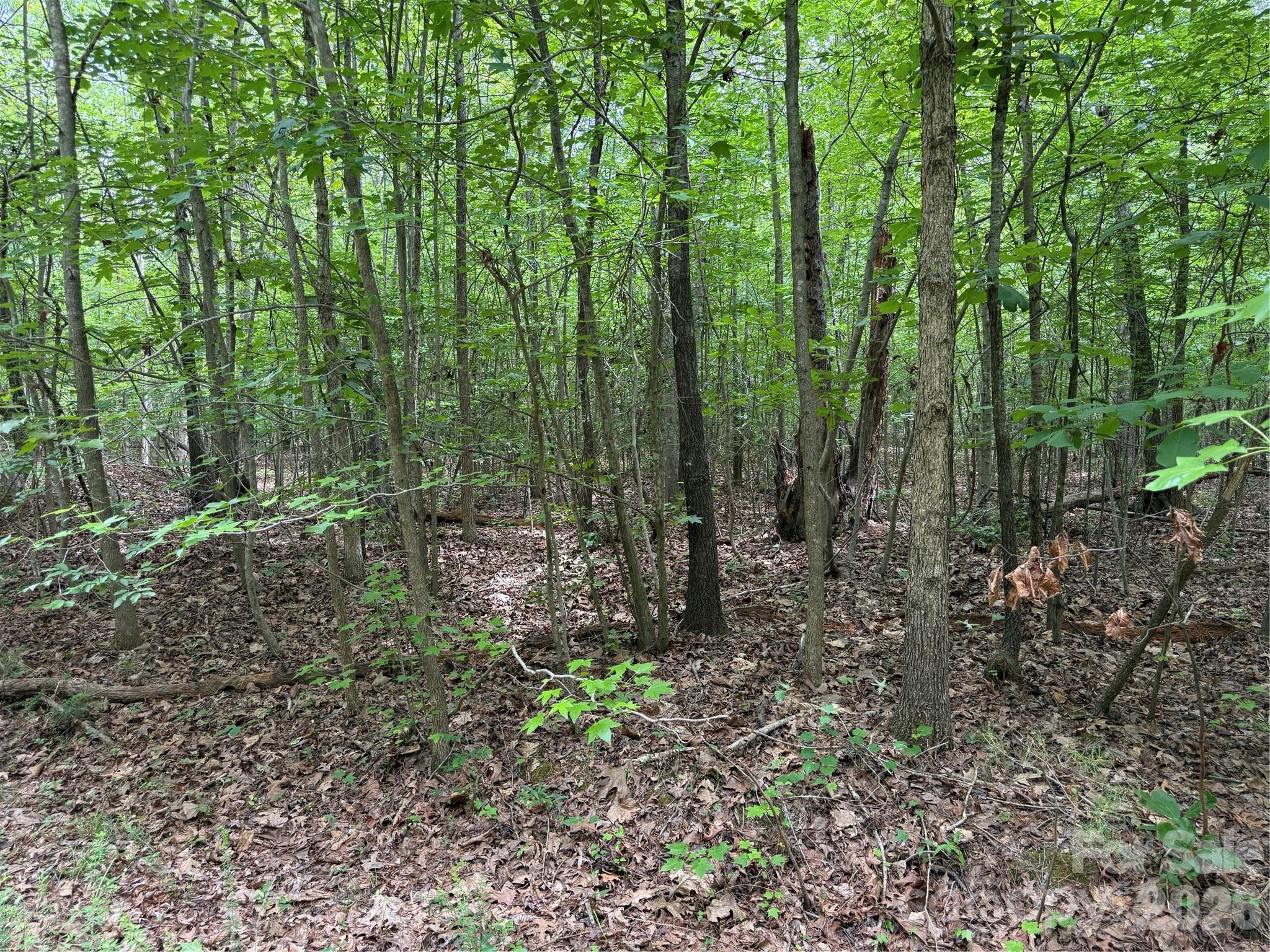 0 Herbert Faucette Road Property Photo 7