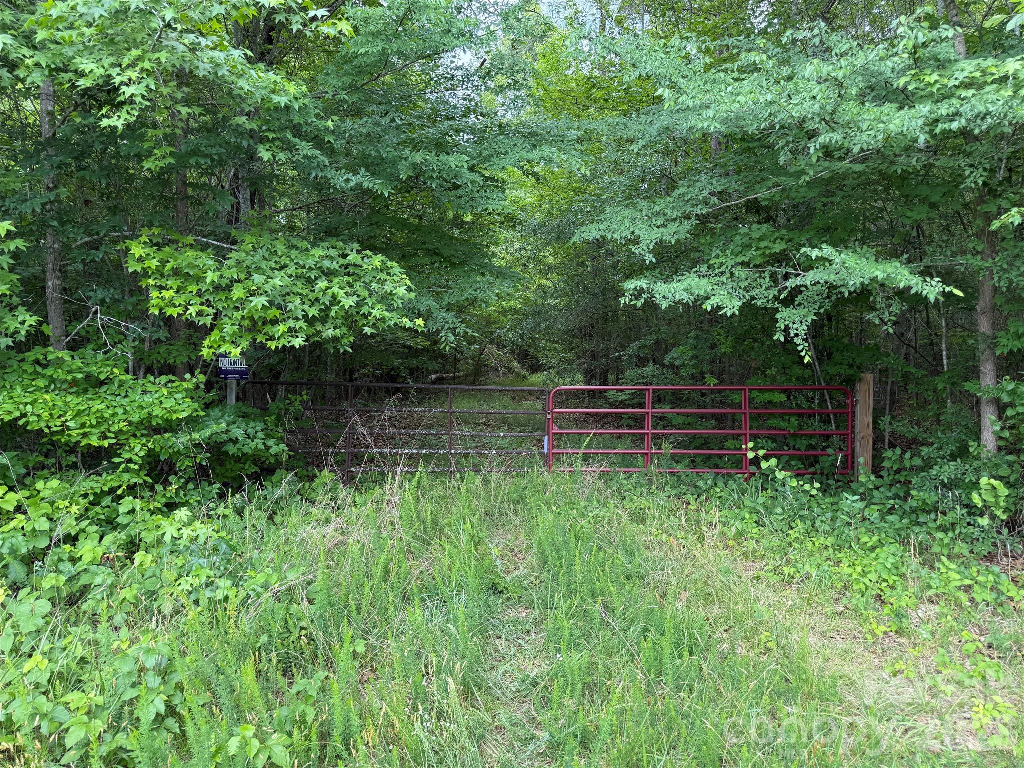 0 Herbert Faucette Road Property Photo 8
