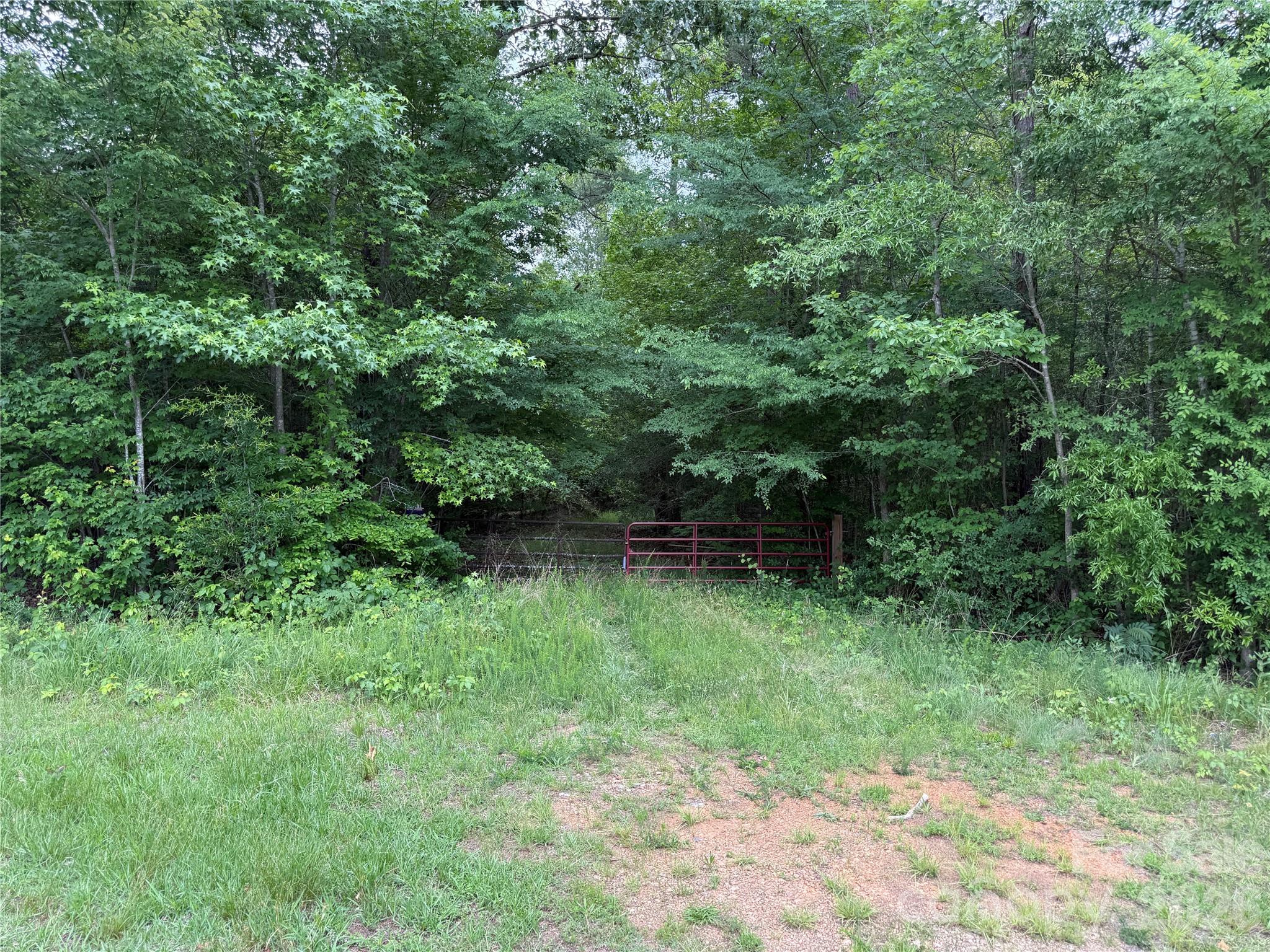 0 Herbert Faucette Road Property Photo 9