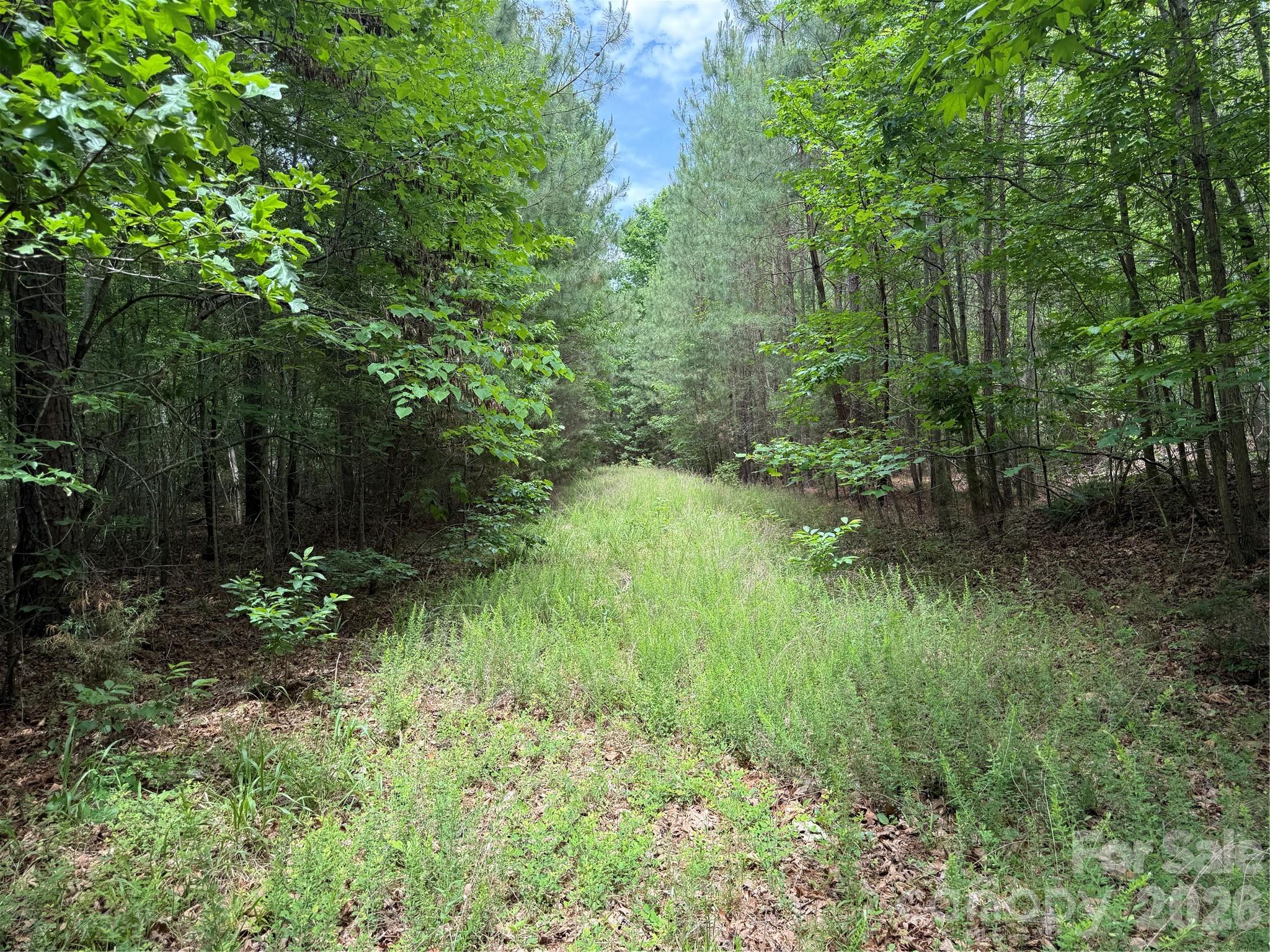 0 Herbert Faucette Road Property Photo 13
