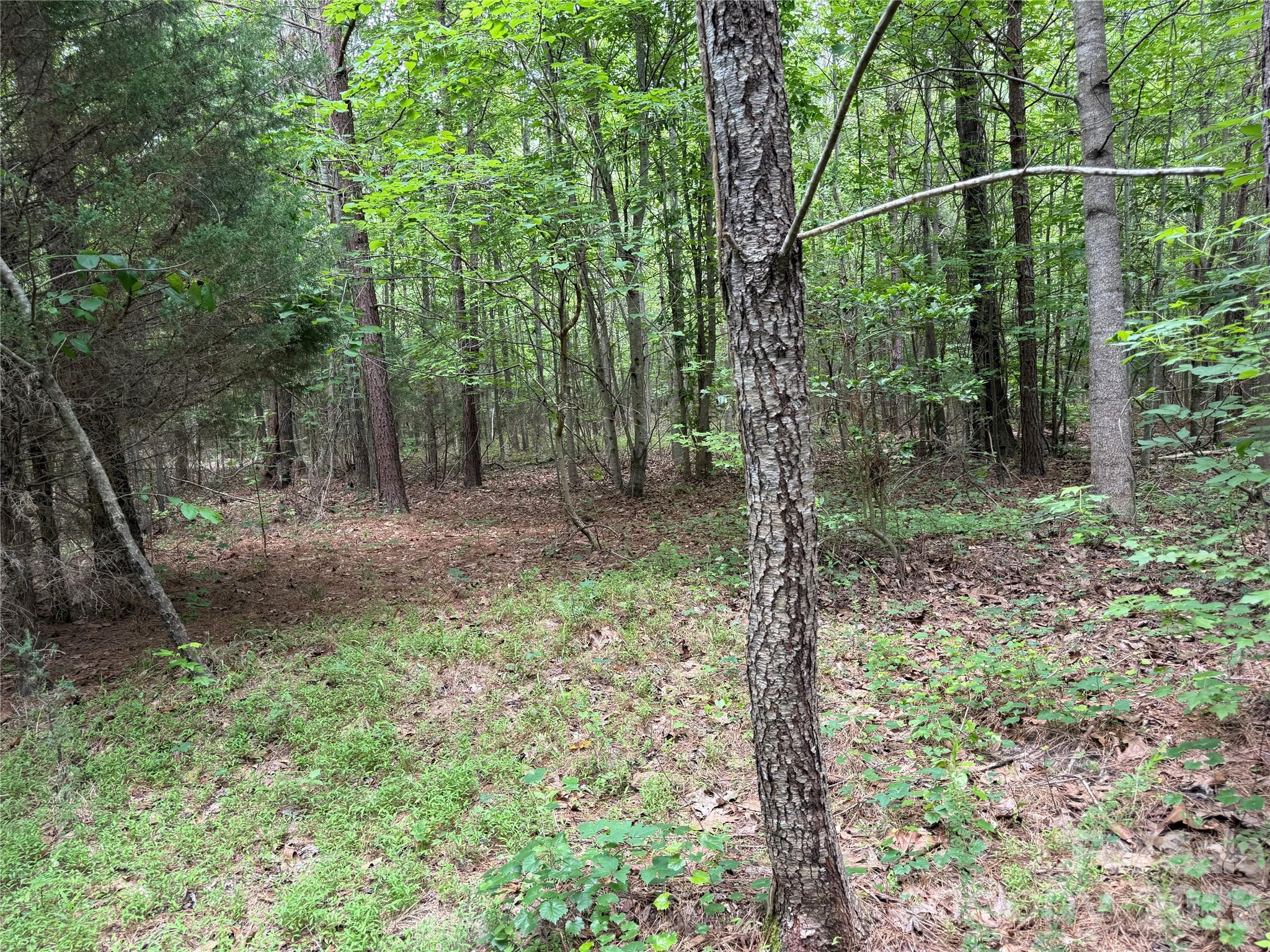0 Herbert Faucette Road Property Photo 16