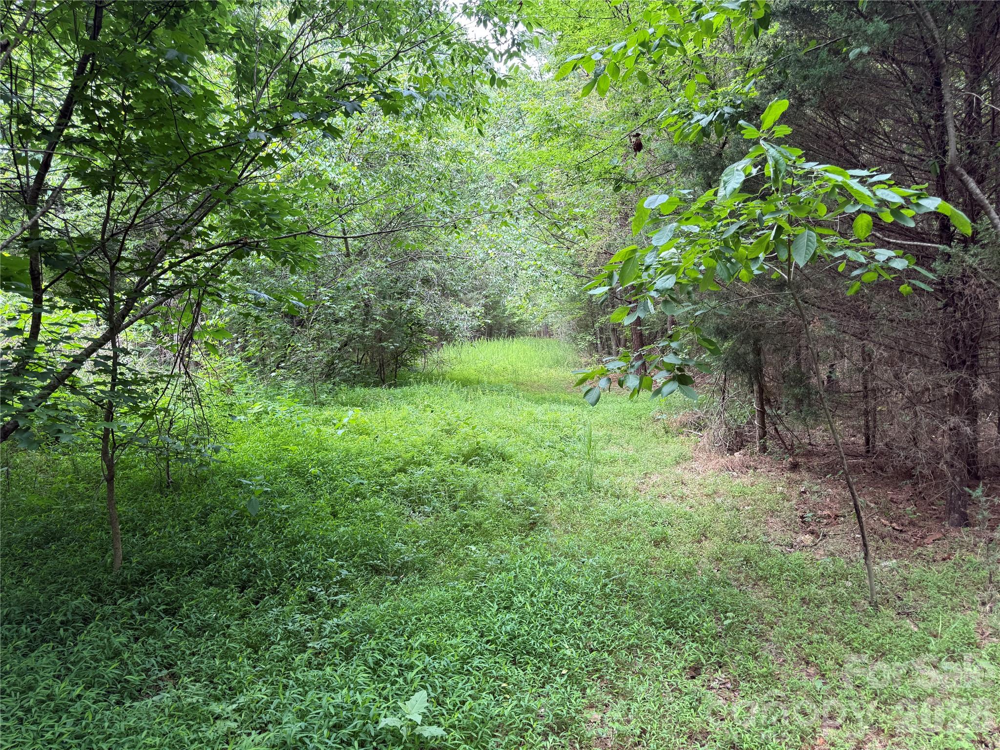 0 Herbert Faucette Road Property Photo 17
