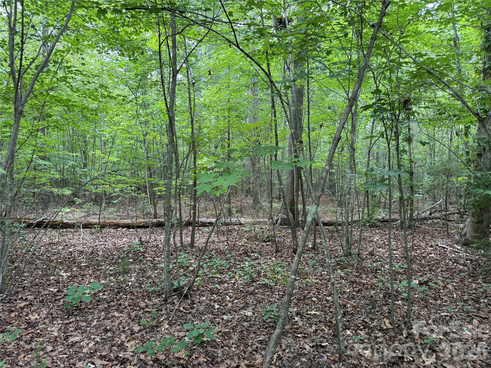 0 Herbert Faucette Road Property Photo 18