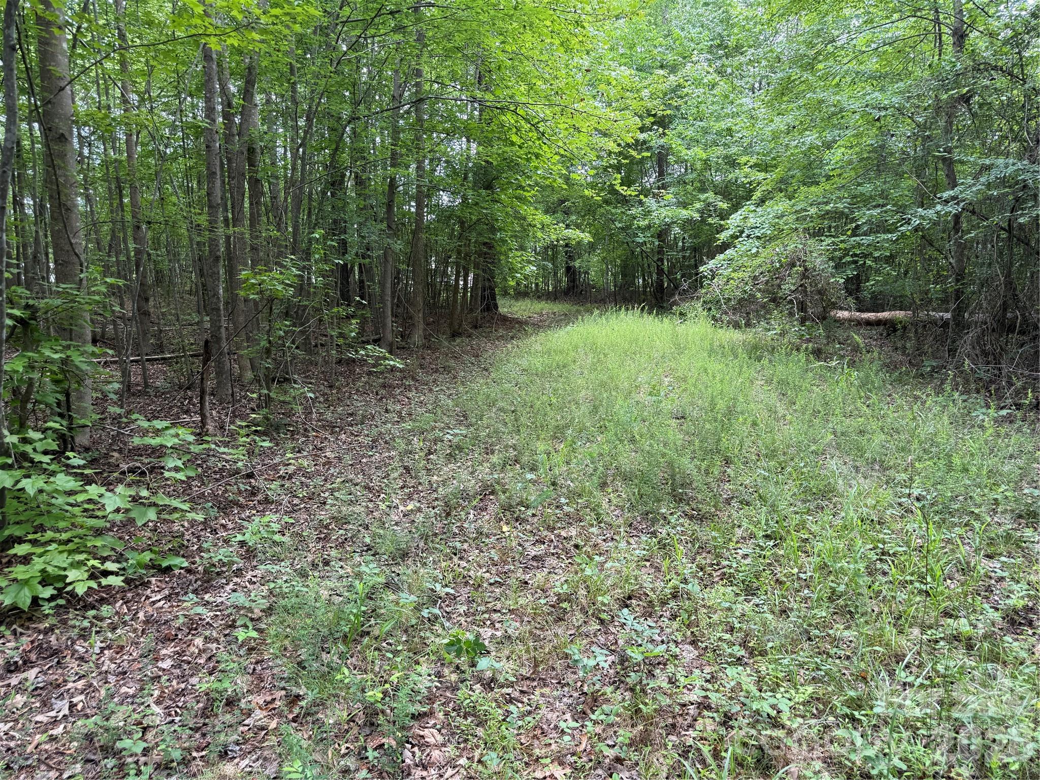 0 Herbert Faucette Road Property Photo 19