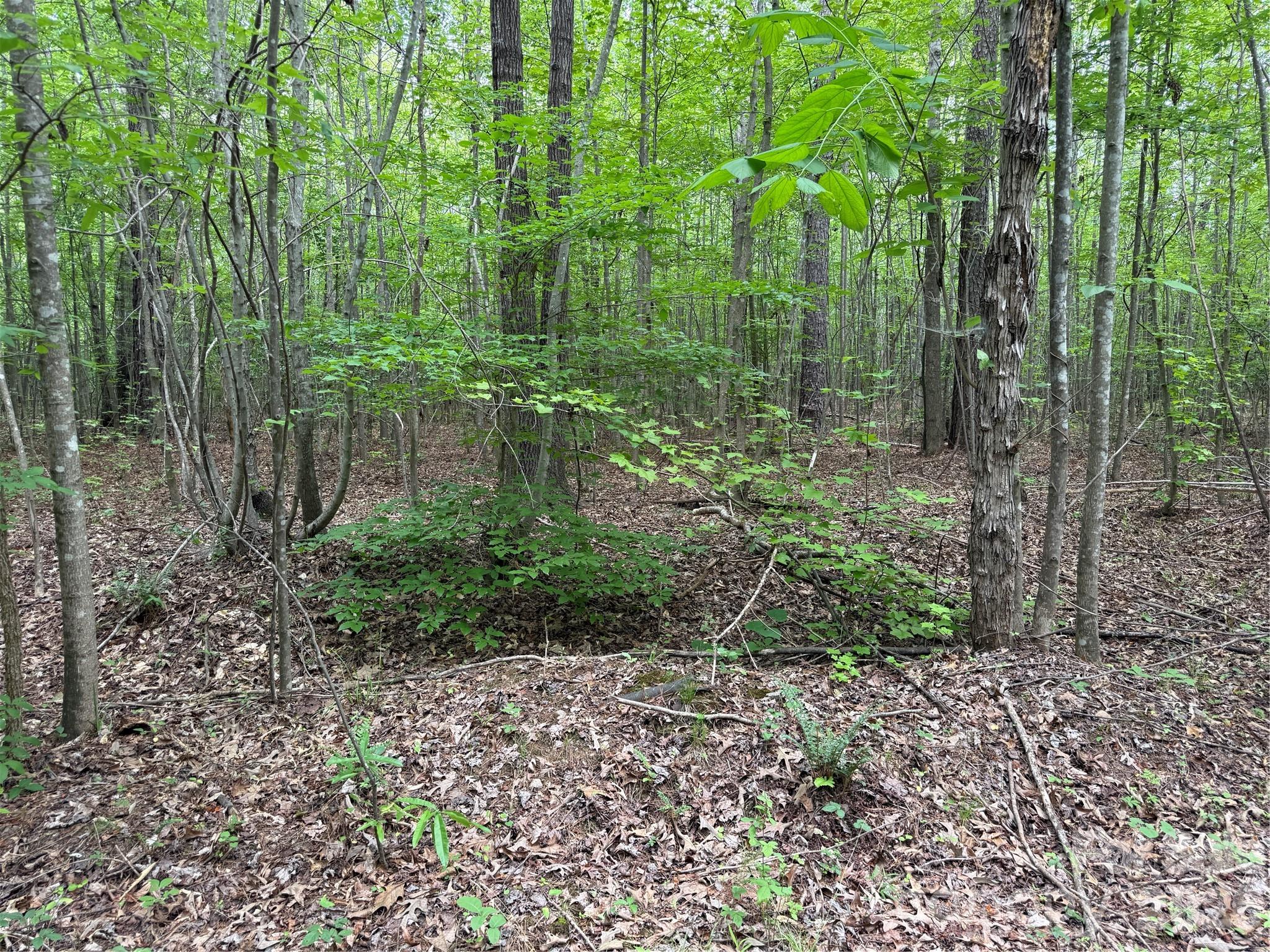 0 Herbert Faucette Road Property Photo 21