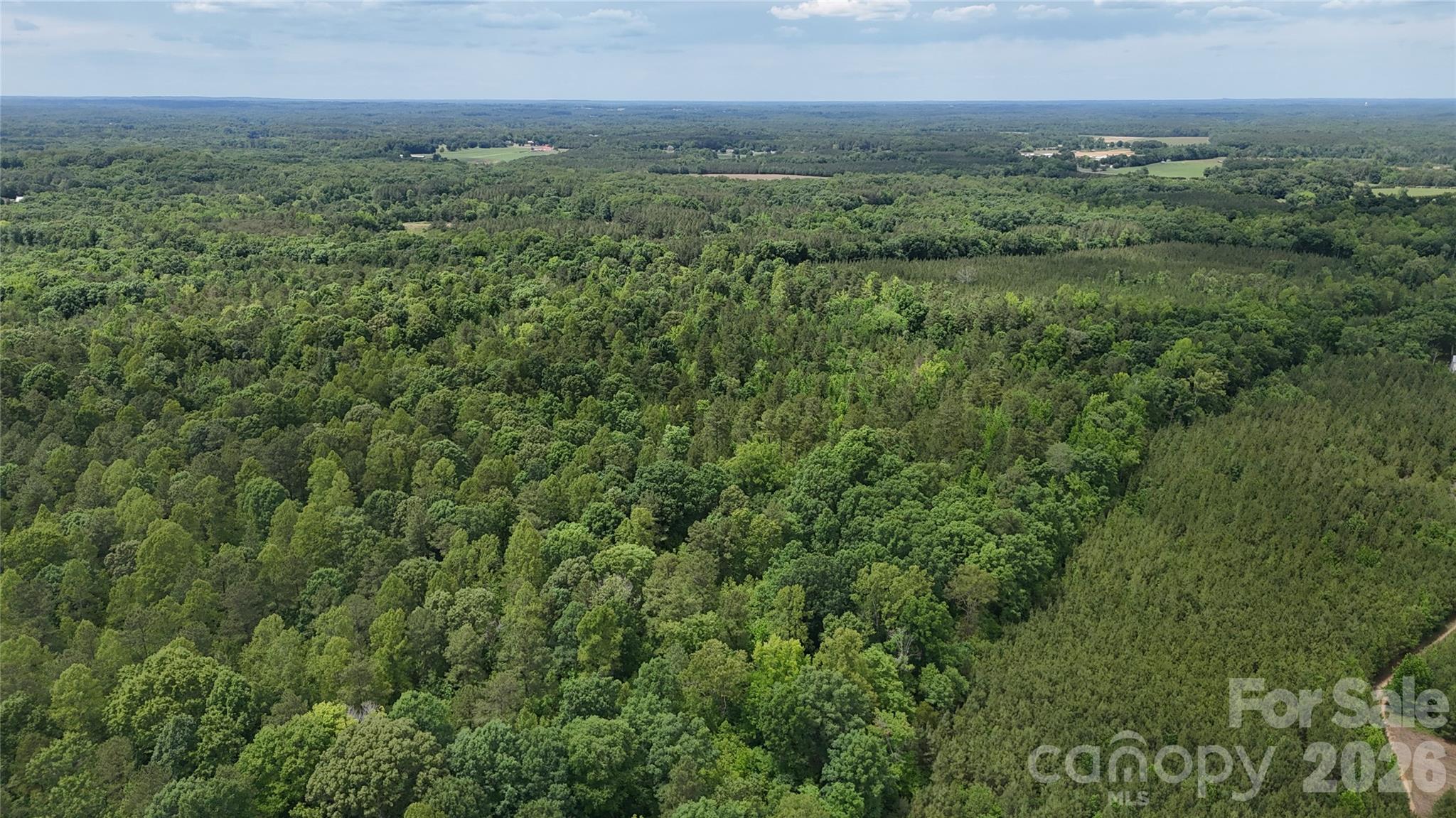 0 Herbert Faucette Road Property Photo 22