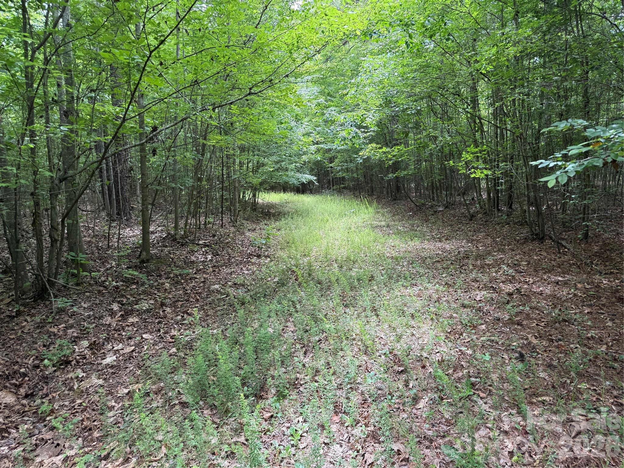 0 Herbert Faucette Road Property Photo 23
