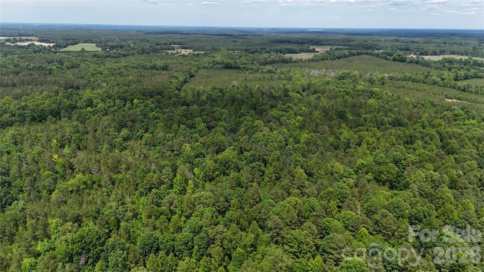0 Herbert Faucette Road Property Photo 25