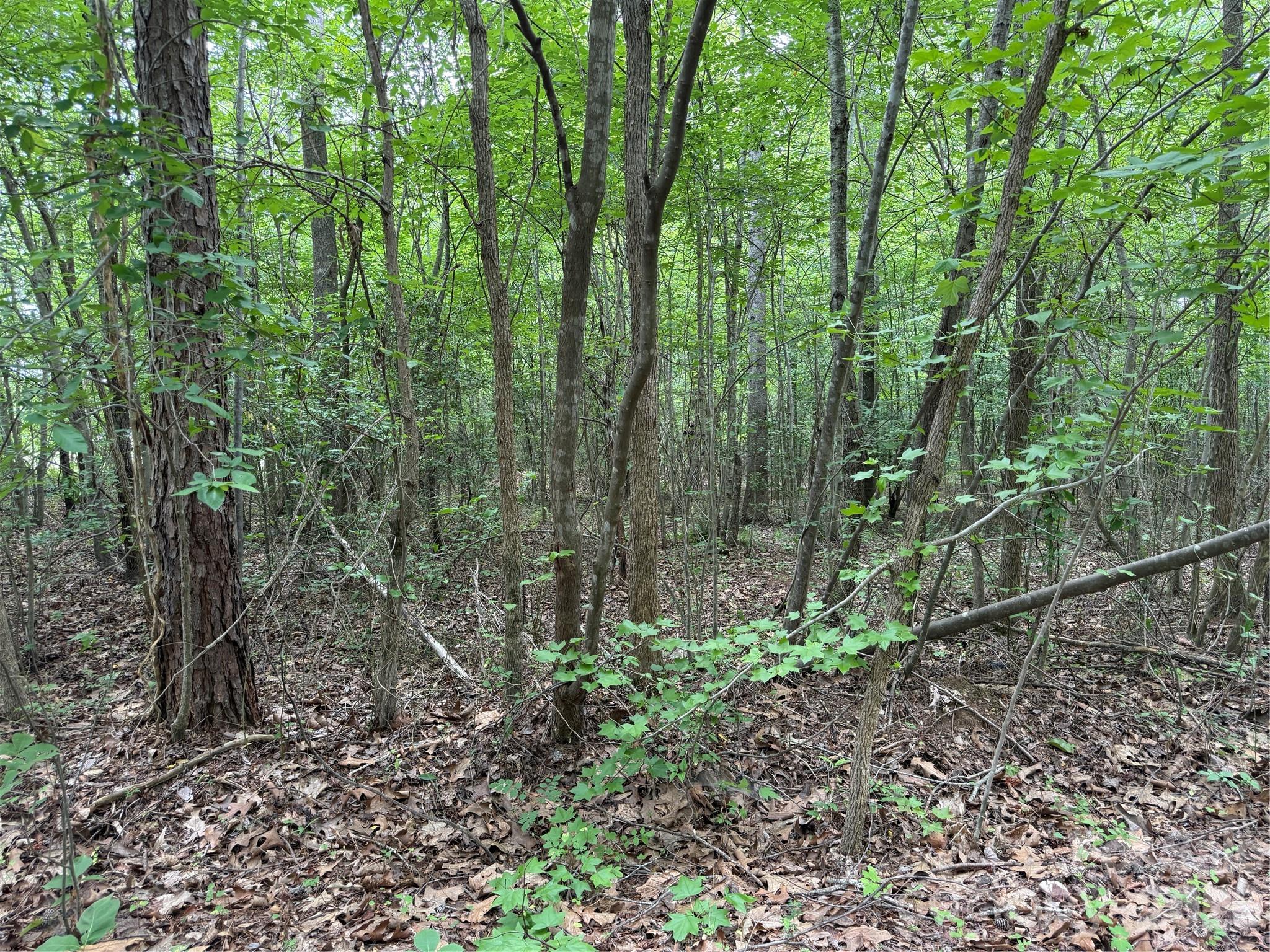 0 Herbert Faucette Road Property Photo 26