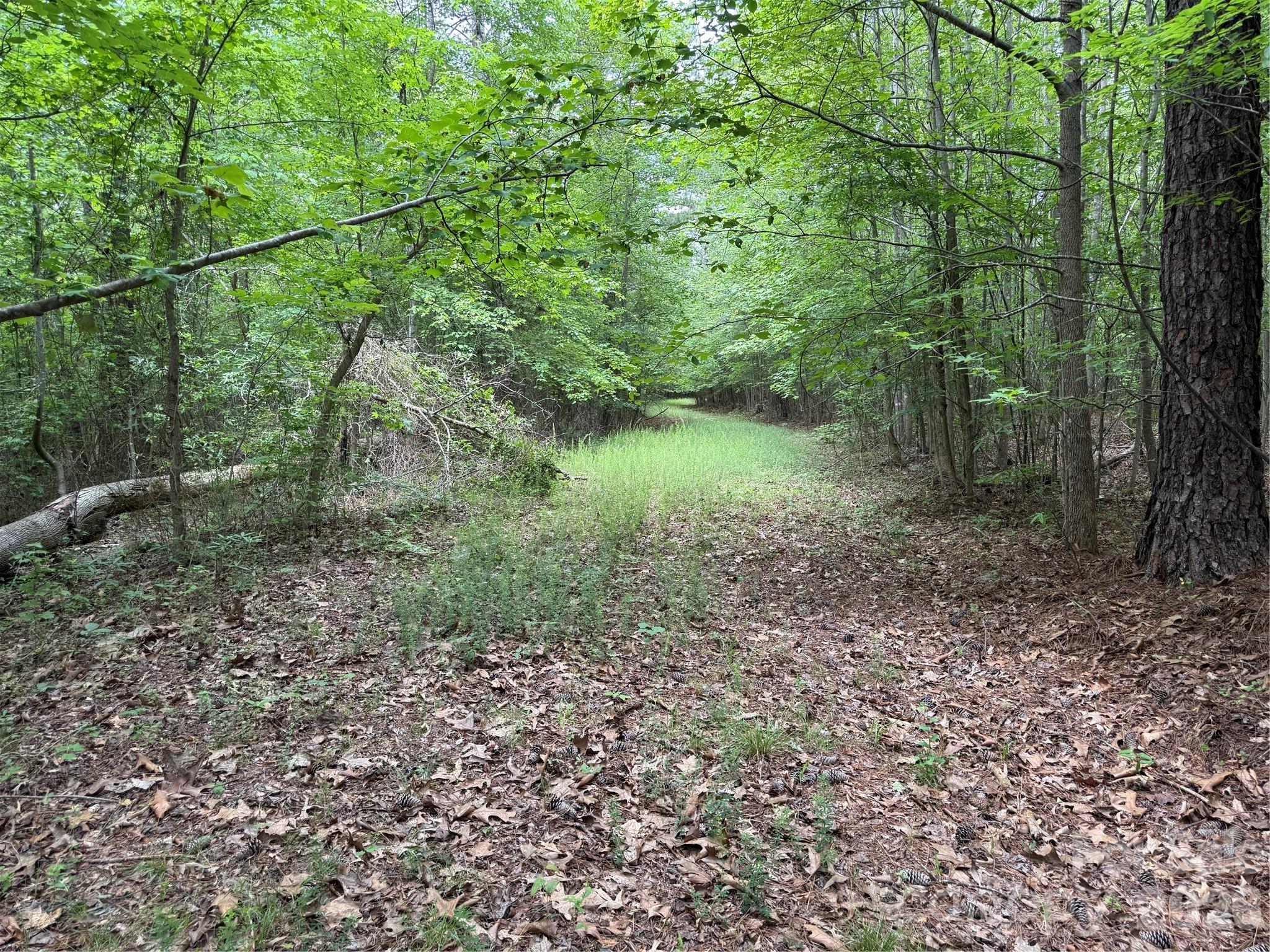 0 Herbert Faucette Road Property Photo 27