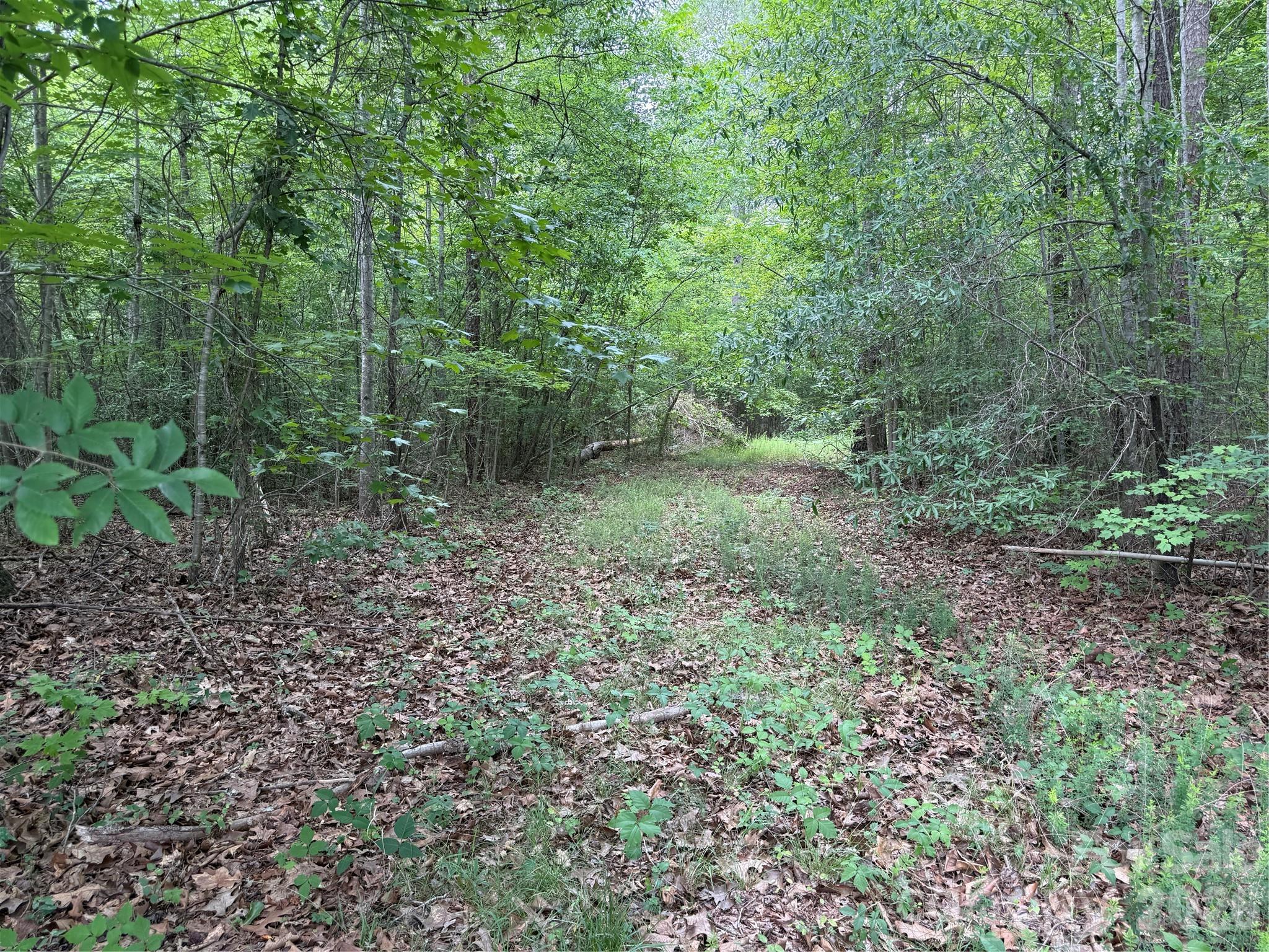 0 Herbert Faucette Road Property Photo 28