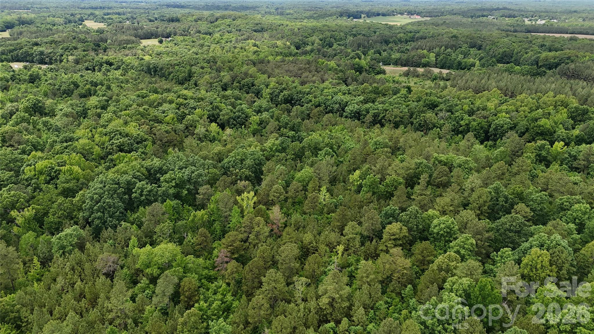 0 Herbert Faucette Road Property Photo 32