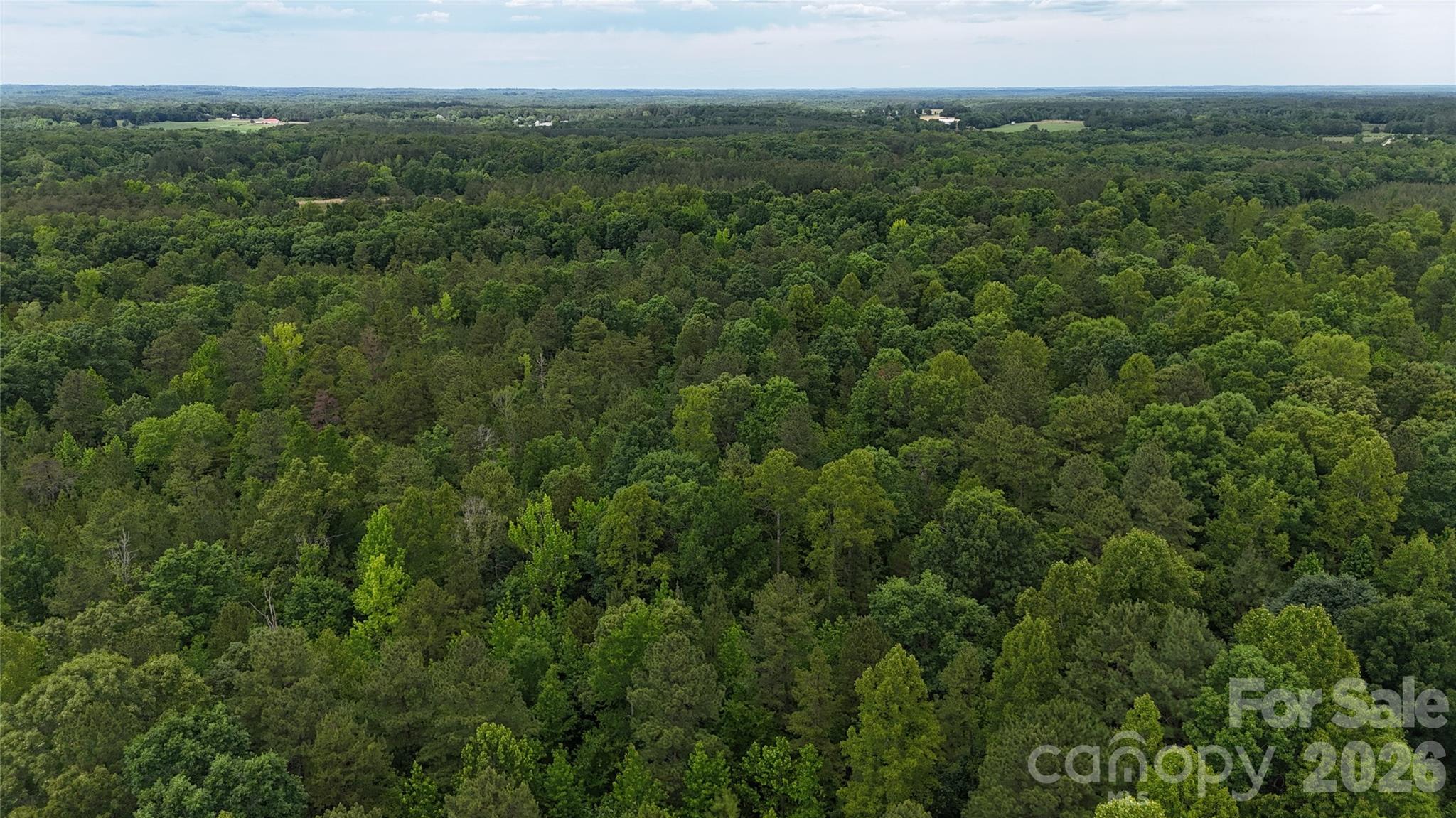 0 Herbert Faucette Road Property Photo 33