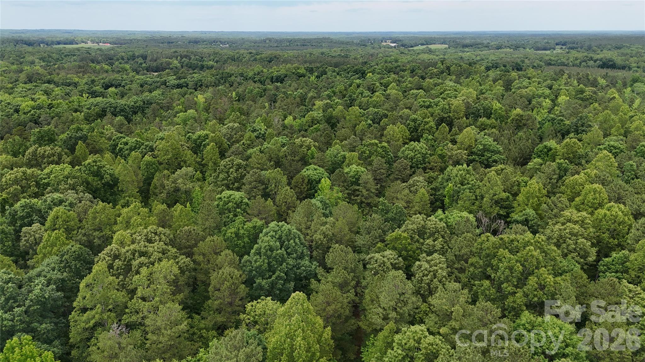 0 Herbert Faucette Road Property Photo 34