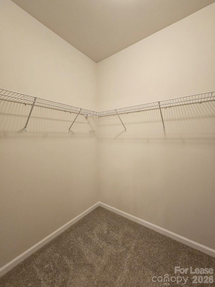 3108 Cheyney Park Drive Property Photo 35