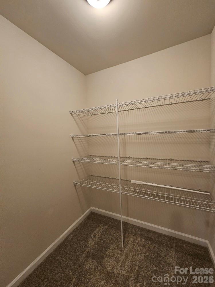 3108 Cheyney Park Drive Property Photo 38