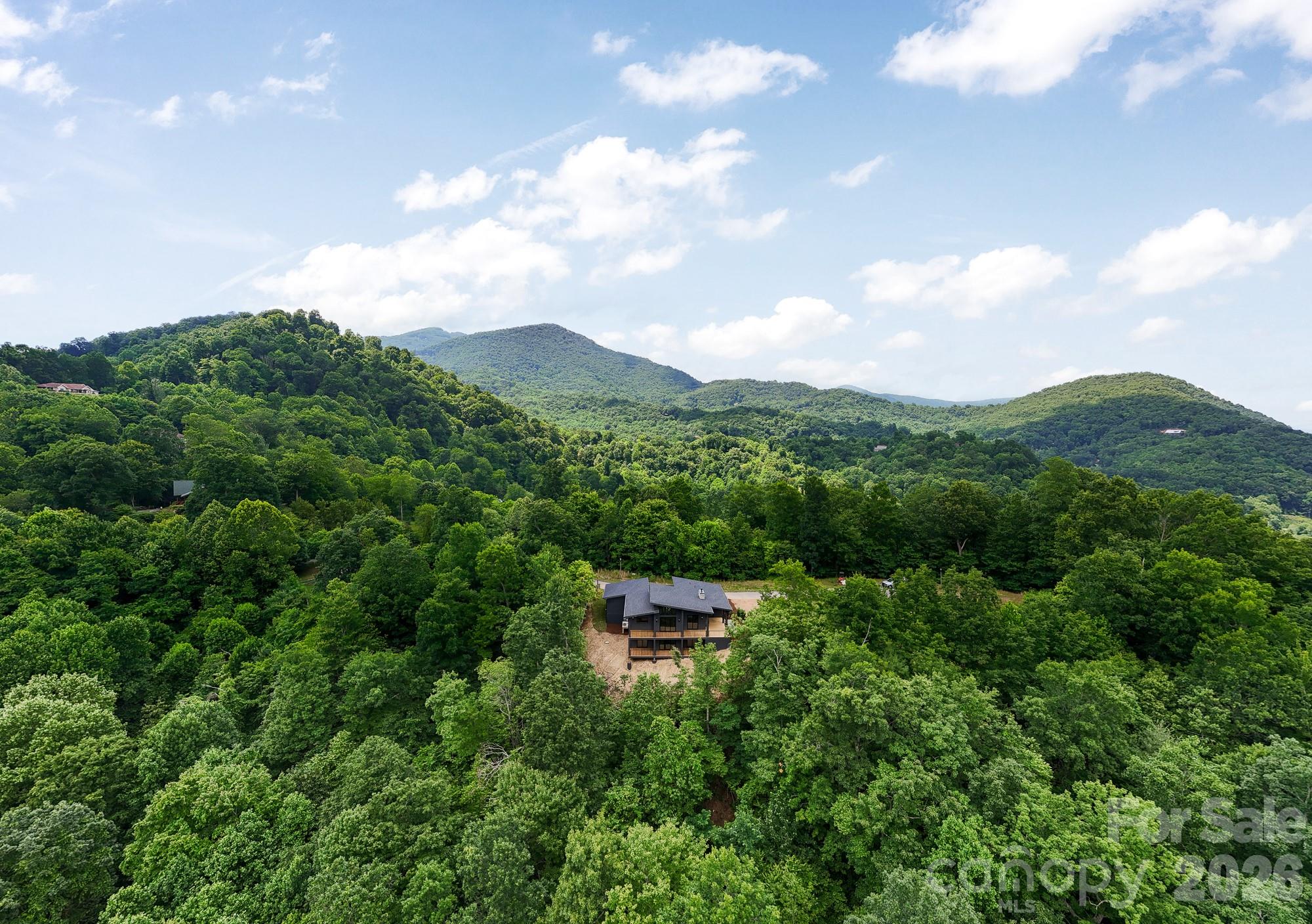 60 King Horn Ridge Property Photo 45