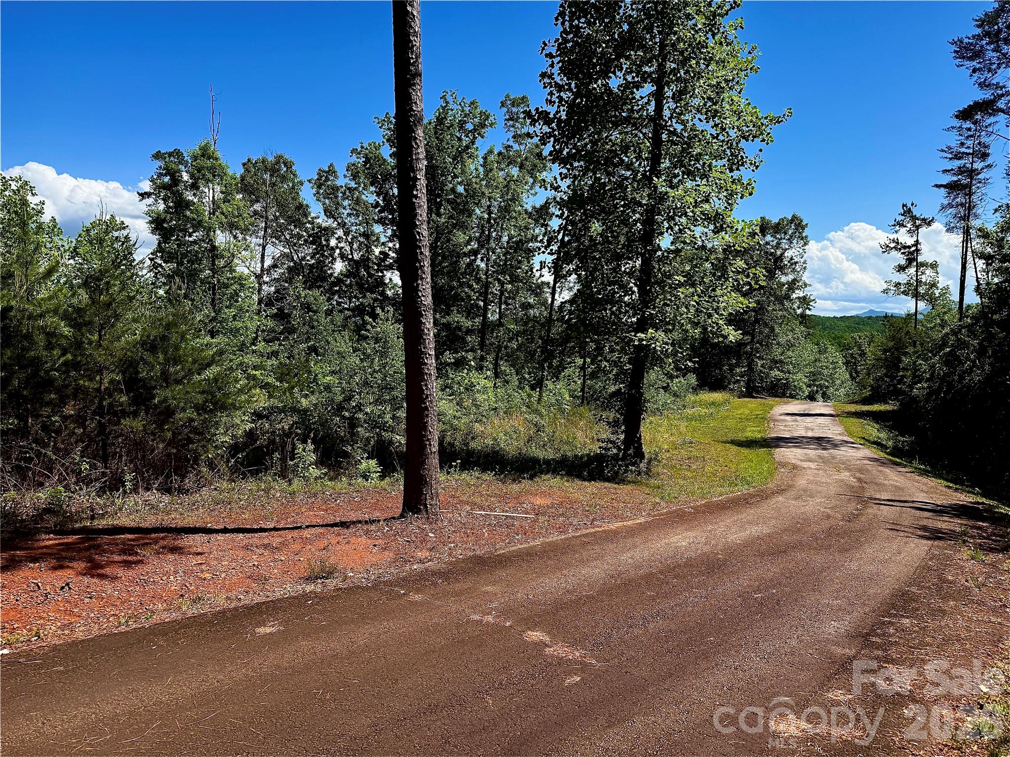 Lot 260 Rock Ledge Drive Property Photo 4