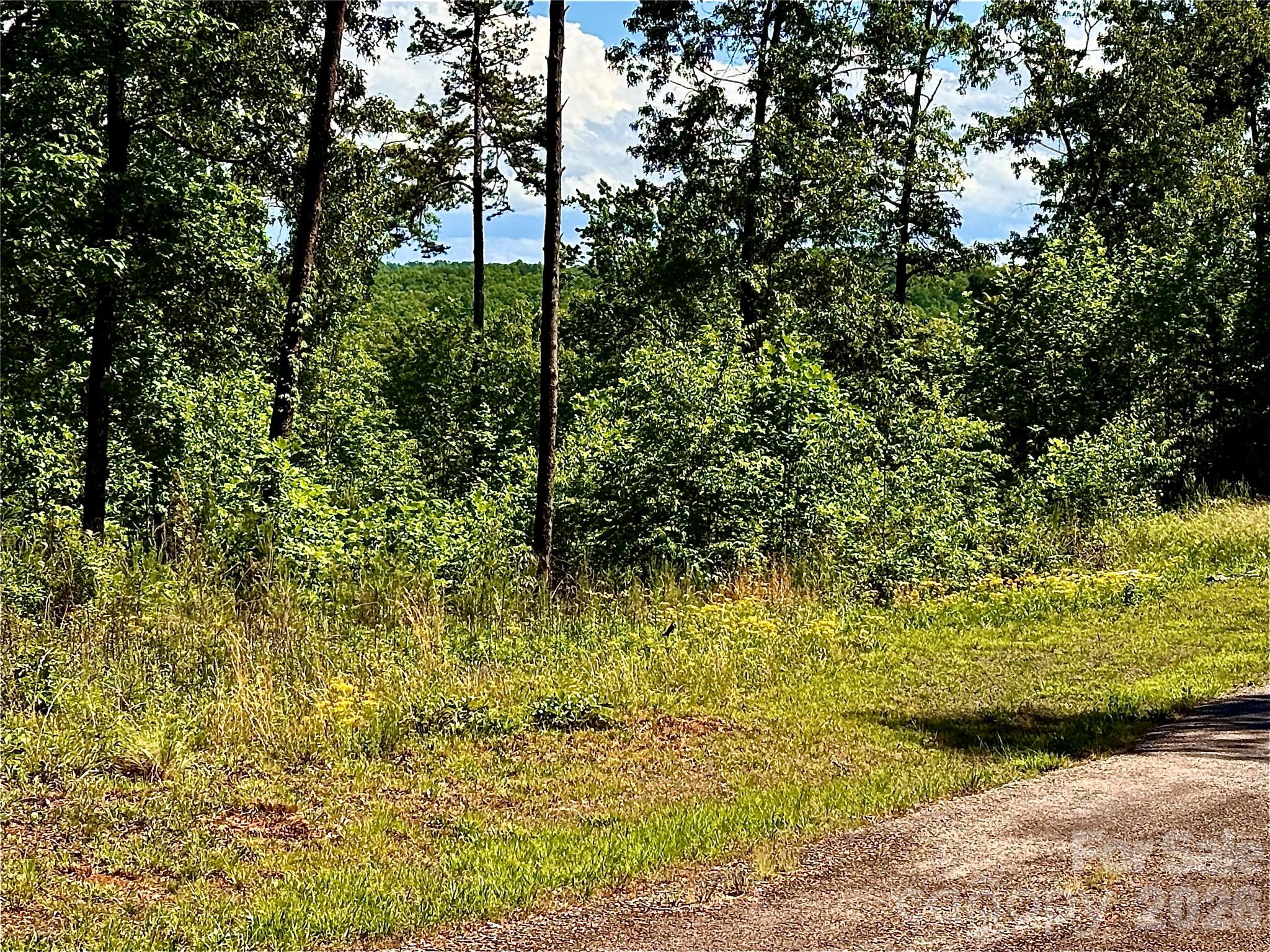 Lot 260 Rock Ledge Drive Property Photo 5