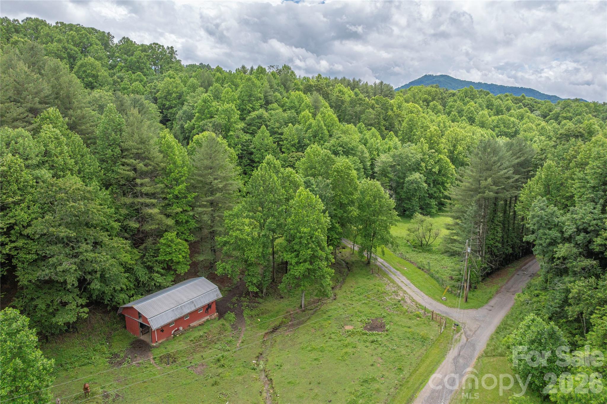 262 Gibson Branch Road Property Photo 44
