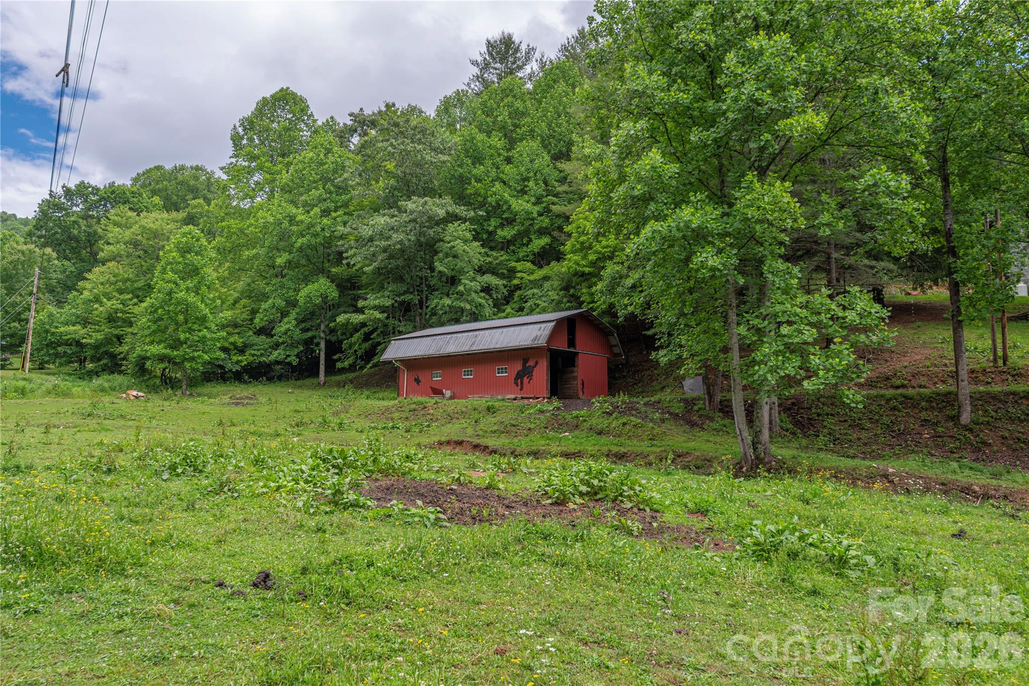 262 Gibson Branch Road Property Photo 46