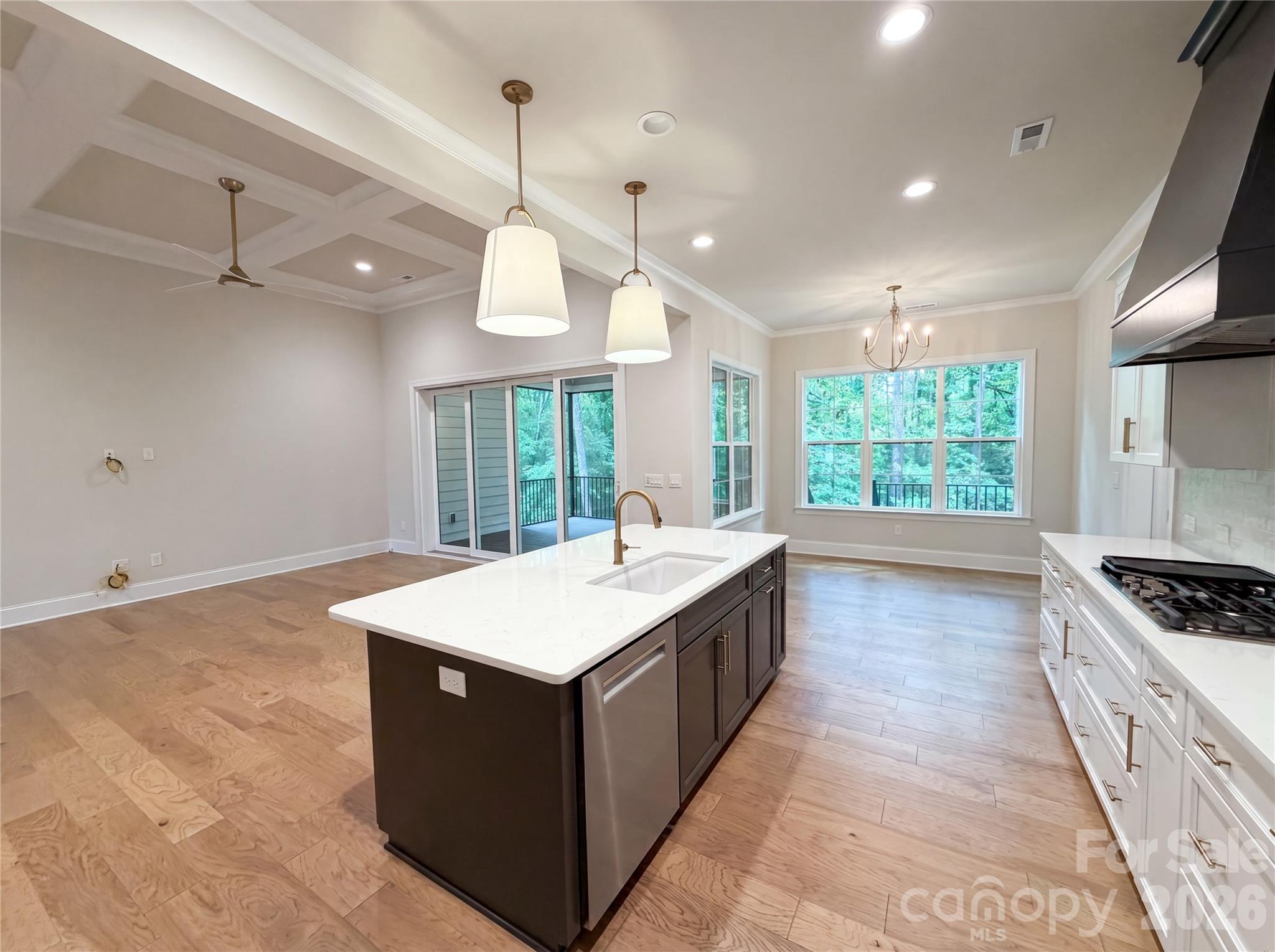 1020 Irish Creek Drive Property Photo 10
