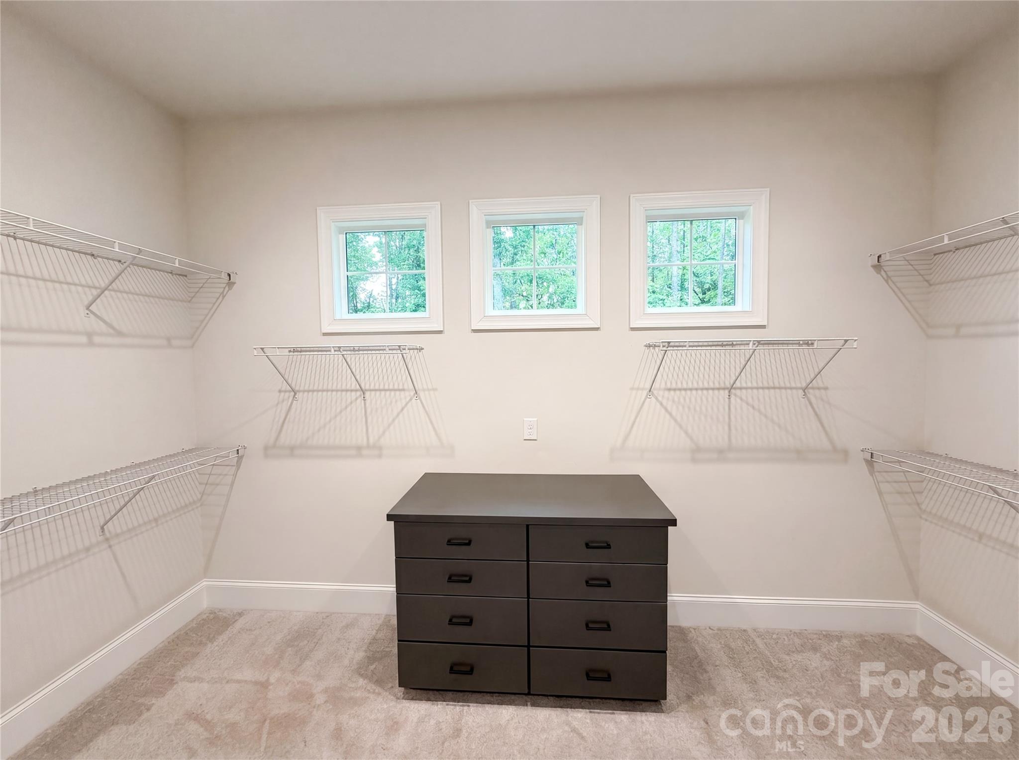 1020 Irish Creek Drive Property Photo 16