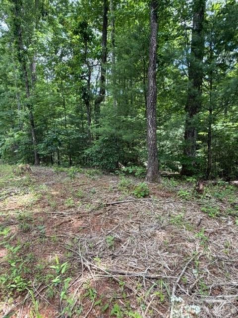 0 Country Way Property Photo 5