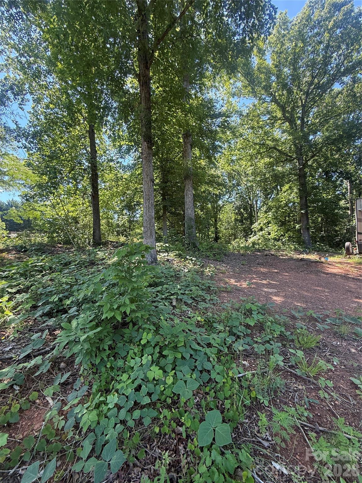 4075 Mamas Garden Drive Property Photo 8