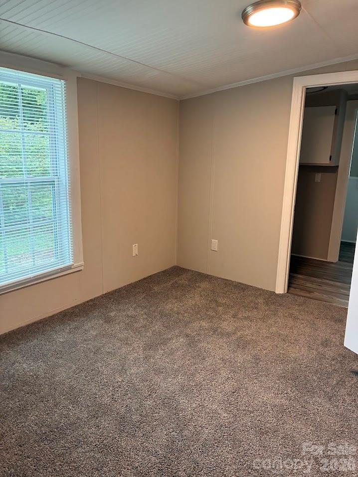 313 Robinson Street Property Photo 14