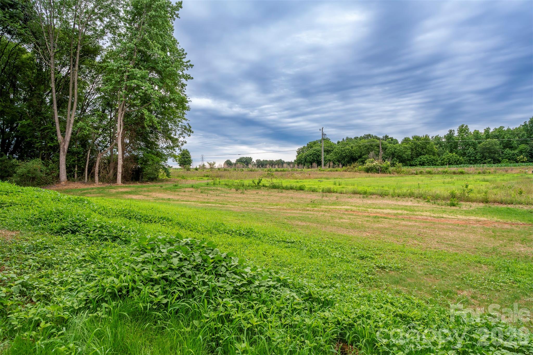 3008 Buffet Lane Property Photo 34