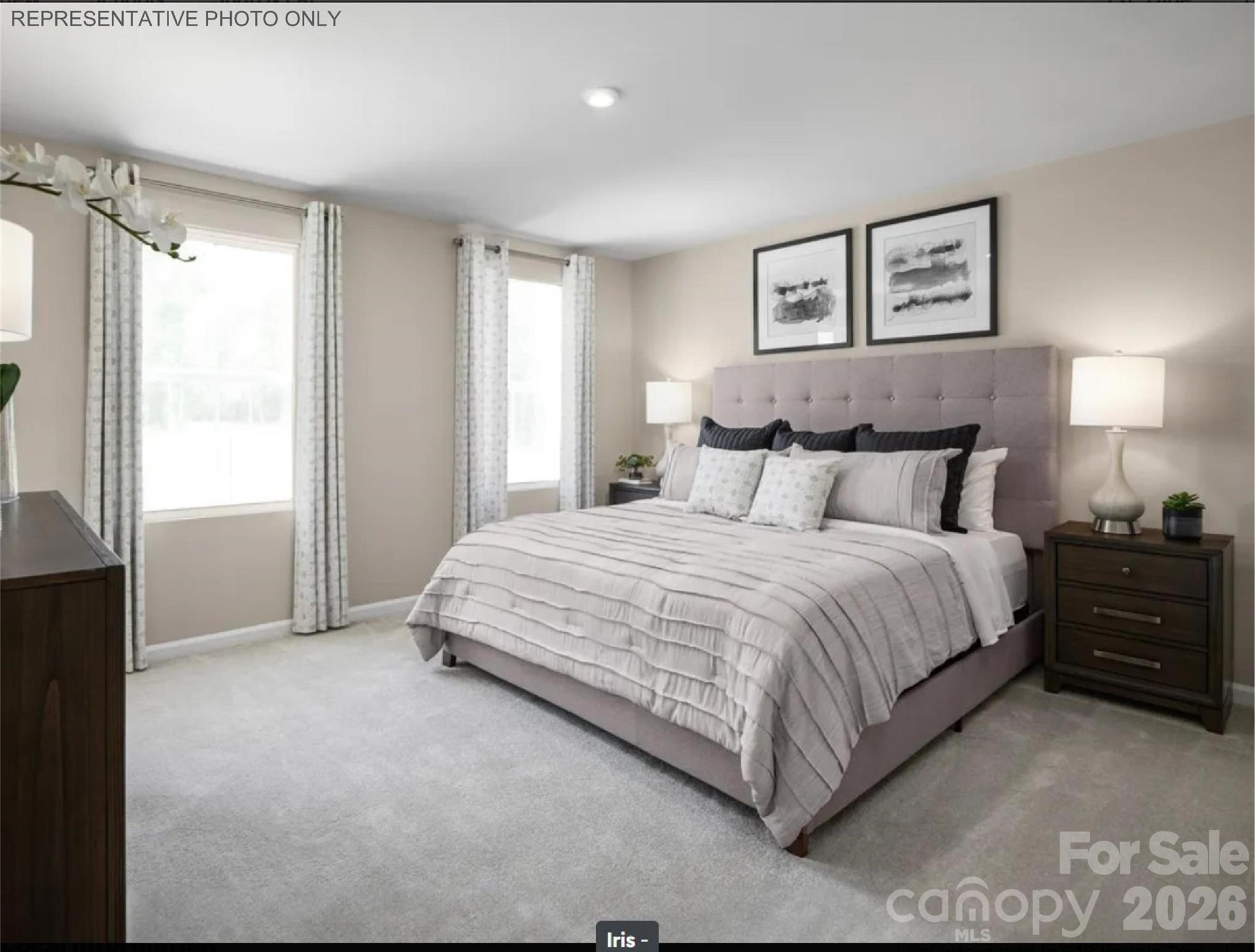 5414 Mccallum Meadows Drive Property Photo 4