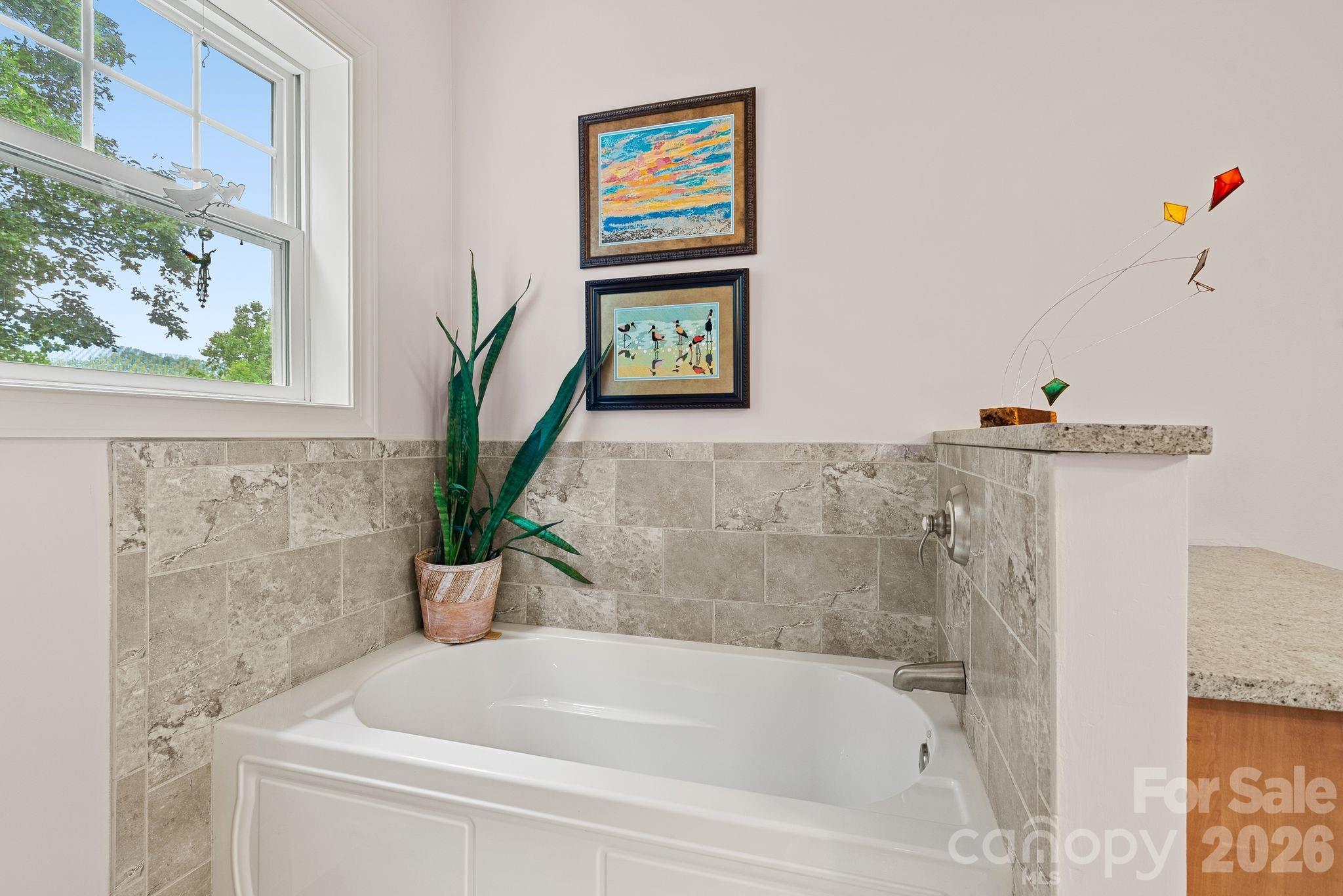522 Silver Hawk Lane Property Photo 27