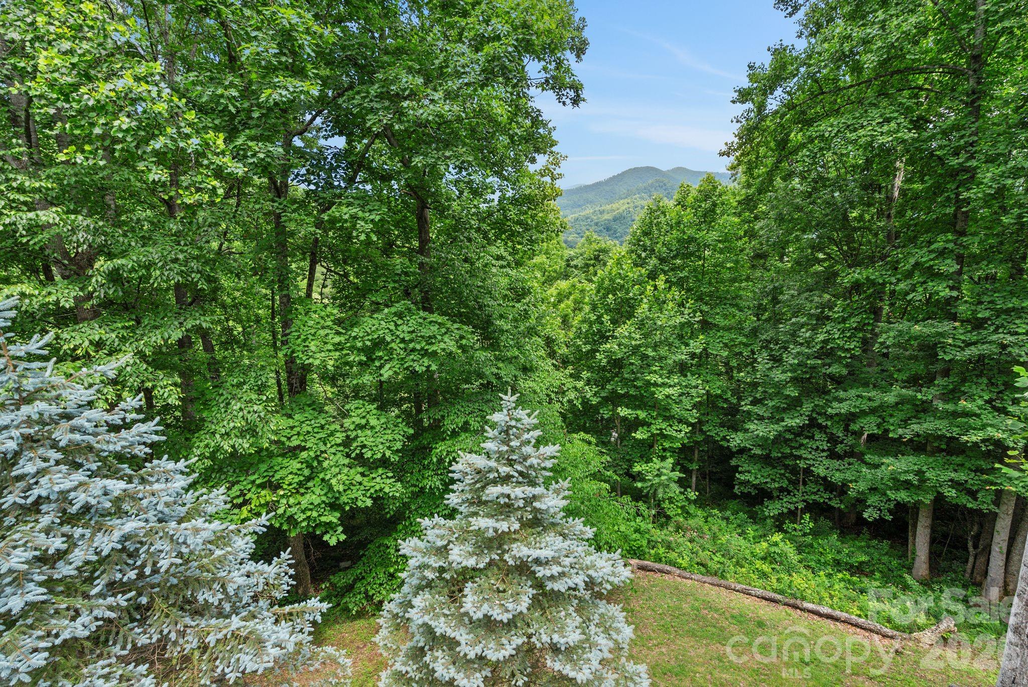 522 Silver Hawk Lane Property Photo 43