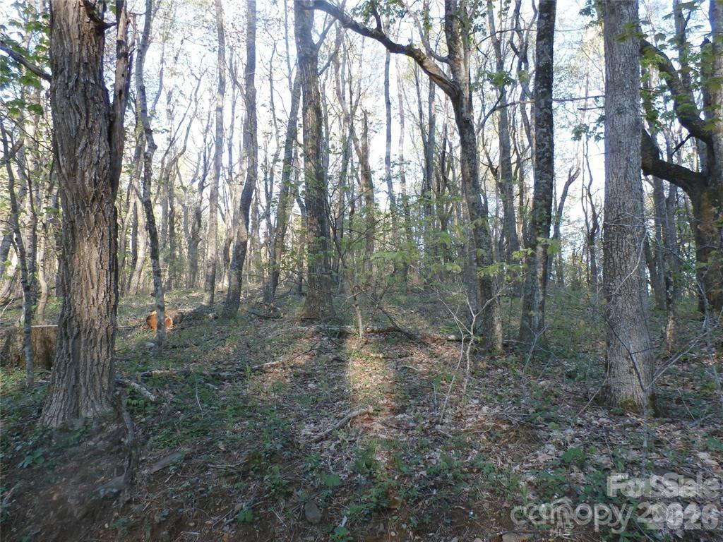 288 Firetower Road Property Photo 23