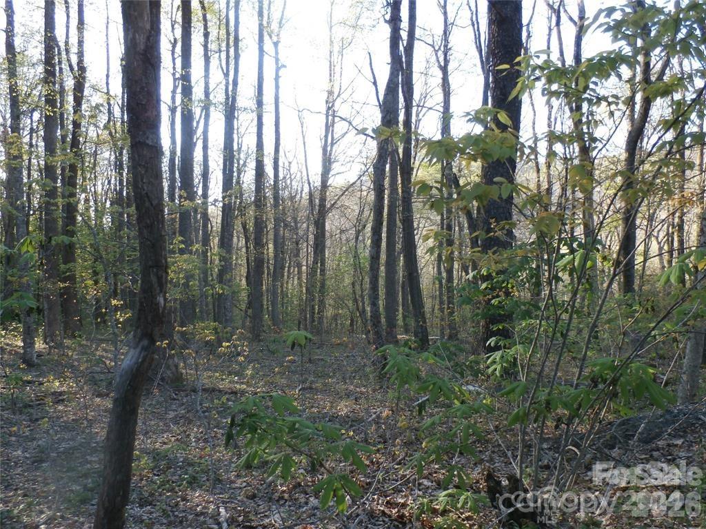 288 Firetower Road Property Photo 24