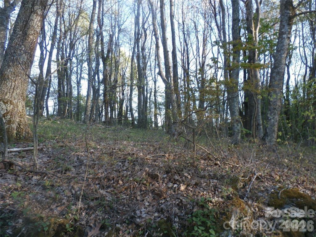 288 Firetower Road Property Photo 26