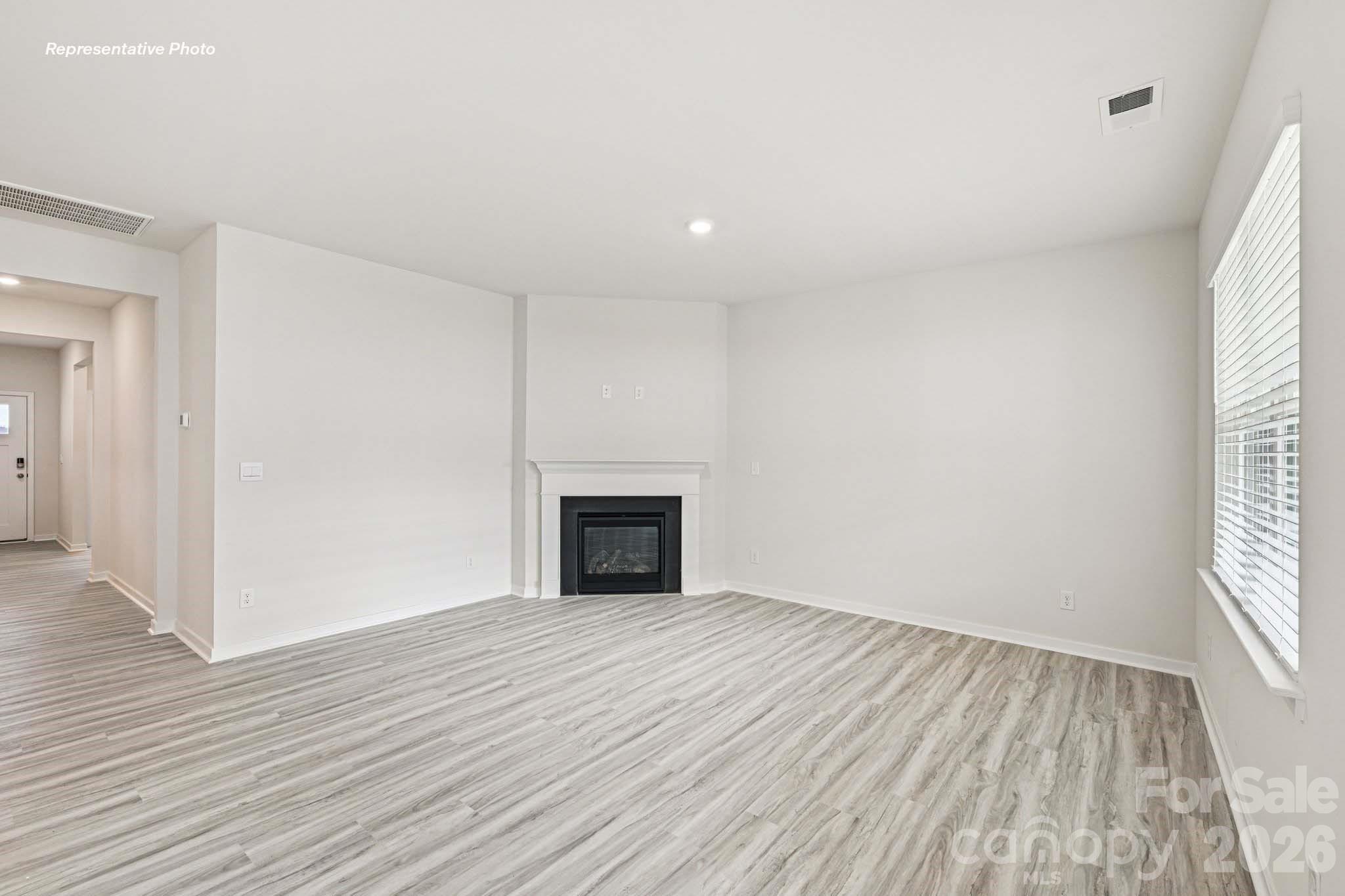 409 Frozen Dream Drive Property Photo 3