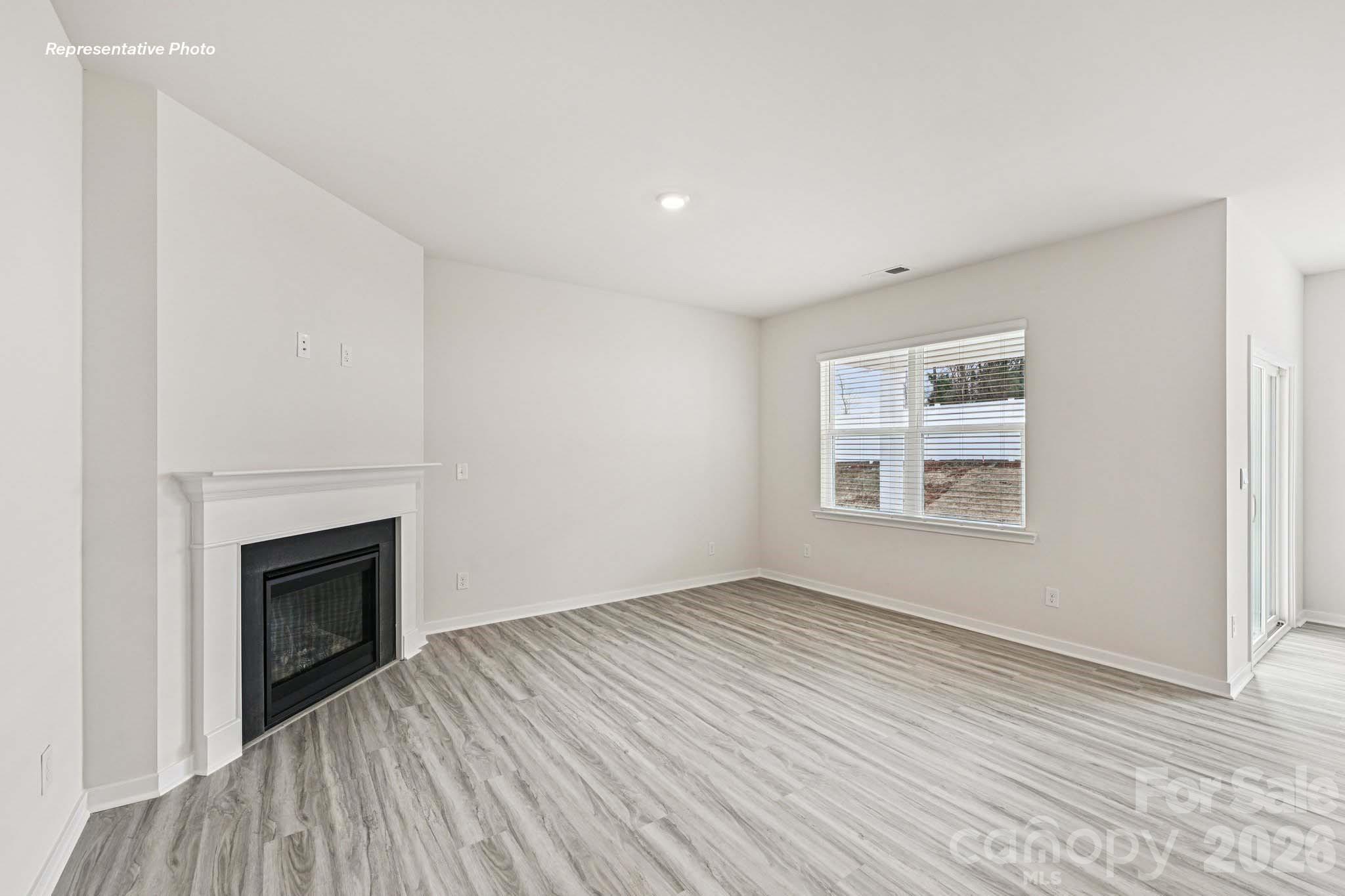 409 Frozen Dream Drive Property Photo 4