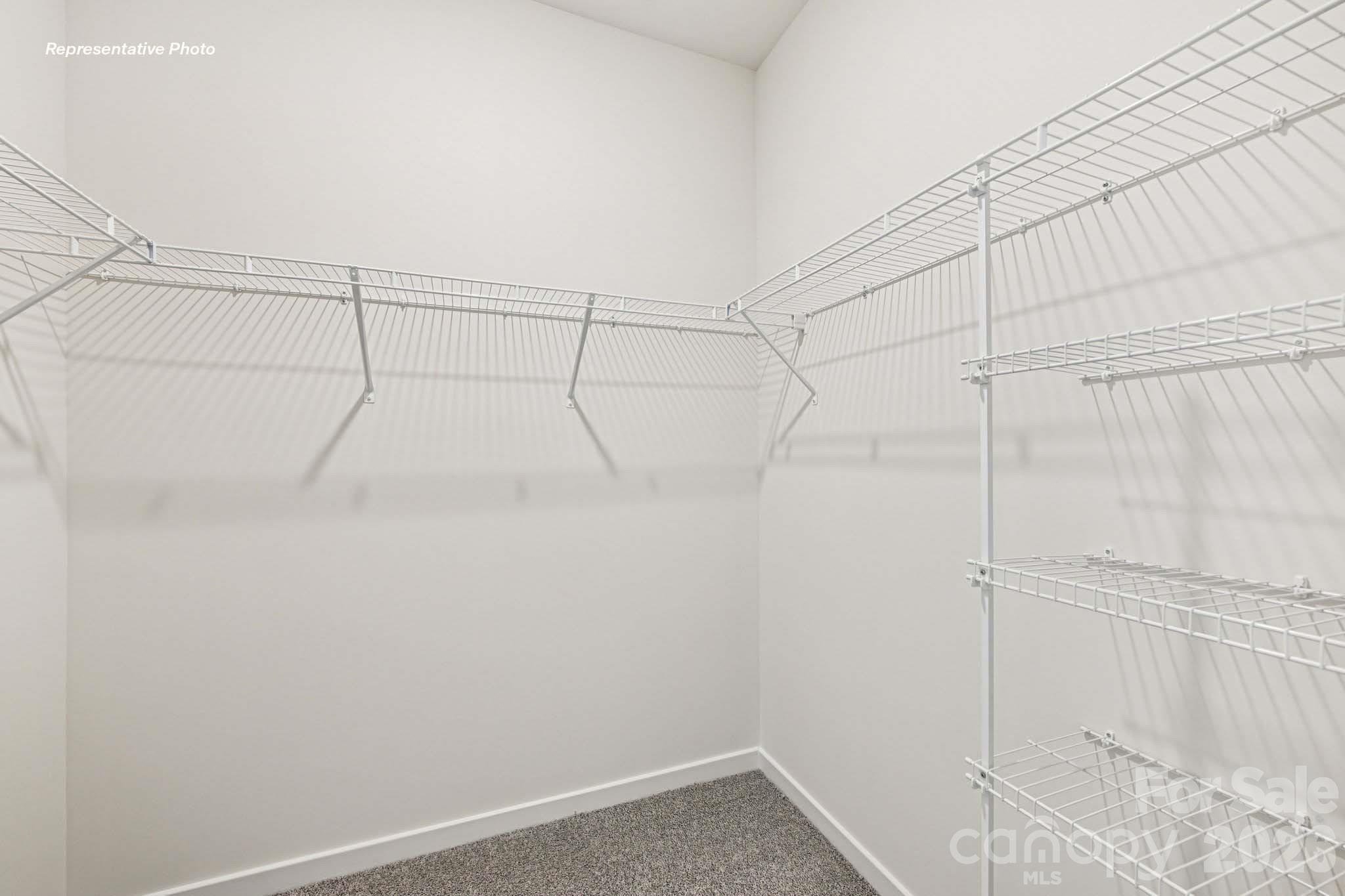409 Frozen Dream Drive Property Photo 23