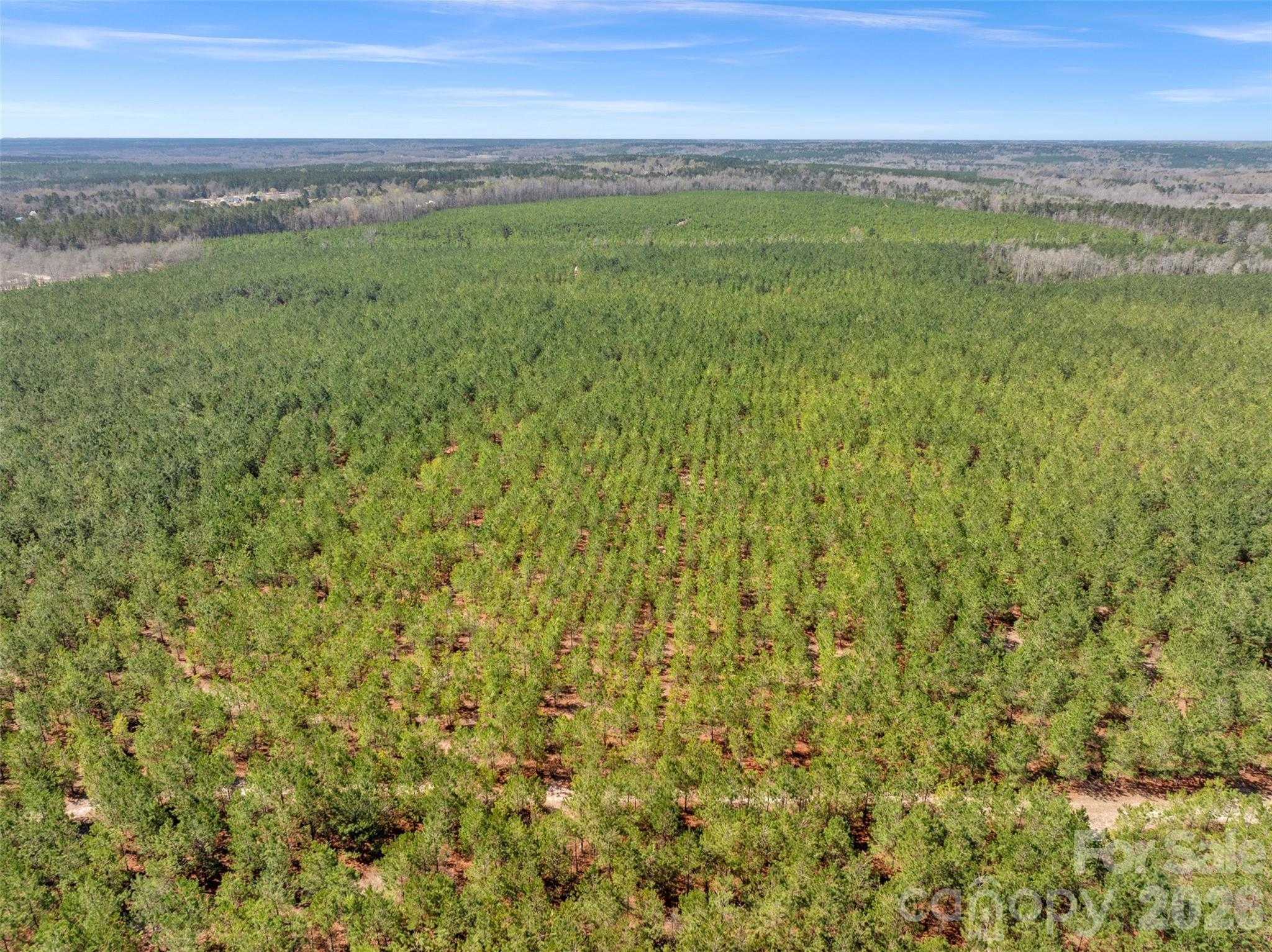 931 Charlie Johnson Road 2 Property Photo 2