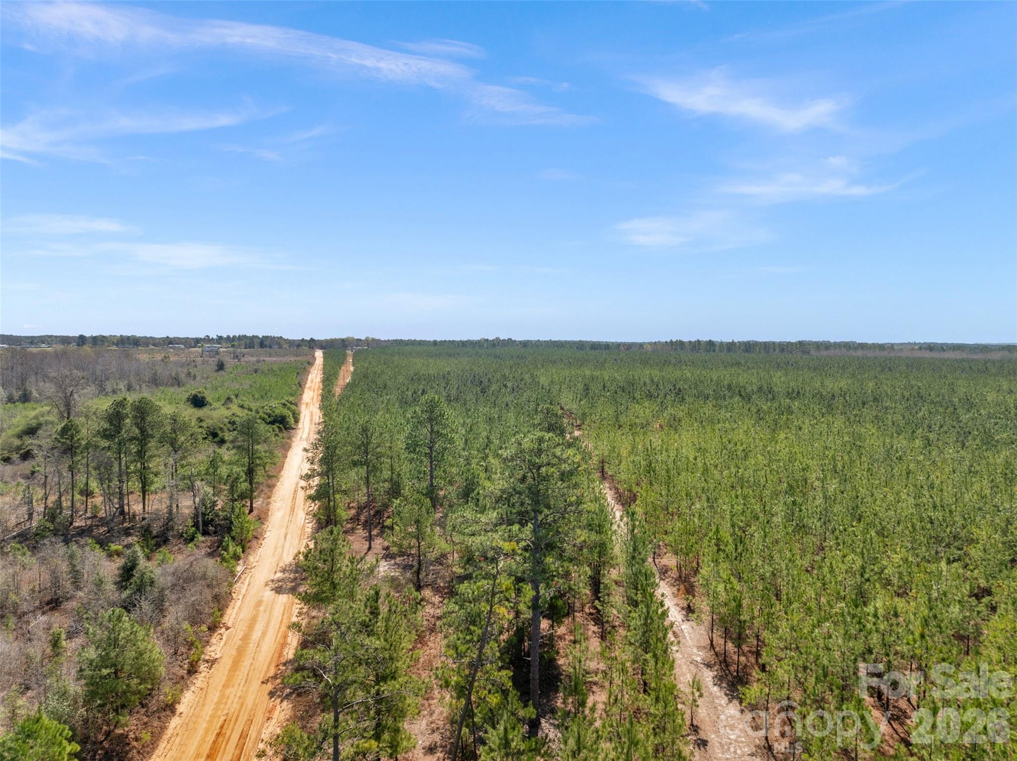 931 Charlie Johnson Road 2 Property Photo 6