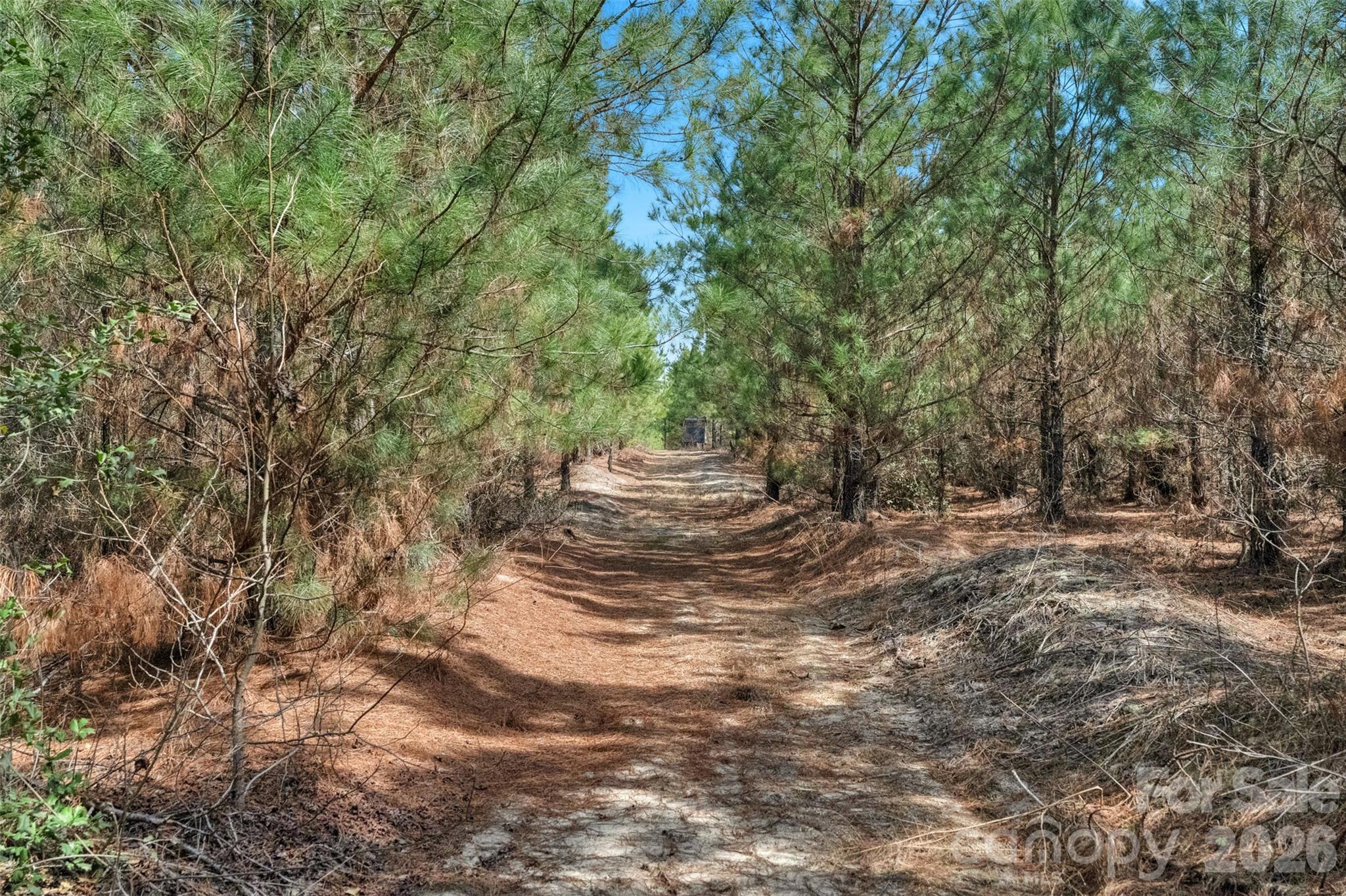 931 Charlie Johnson Road 2 Property Photo 8