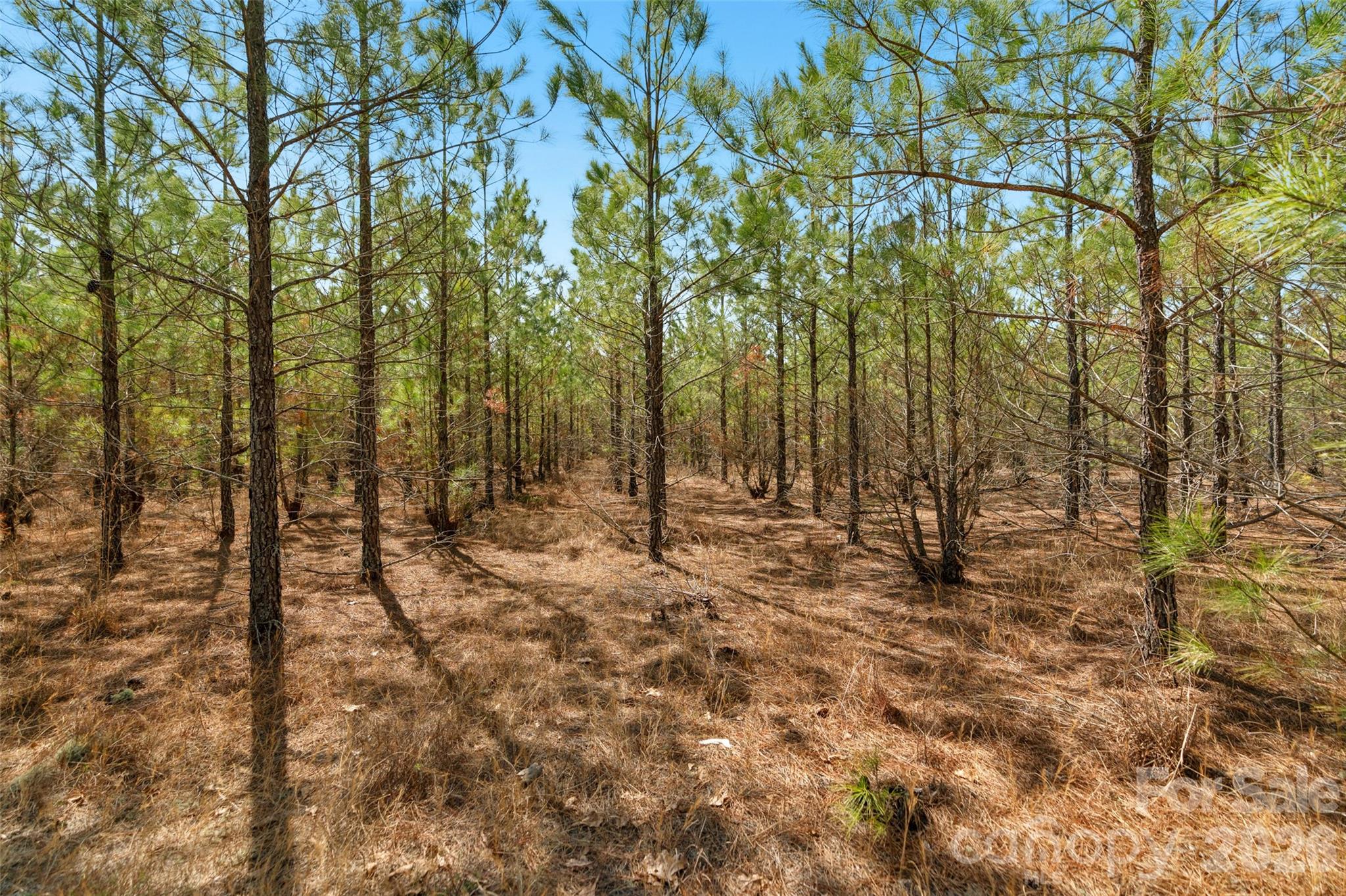 931 Charlie Johnson Road 2 Property Photo 10