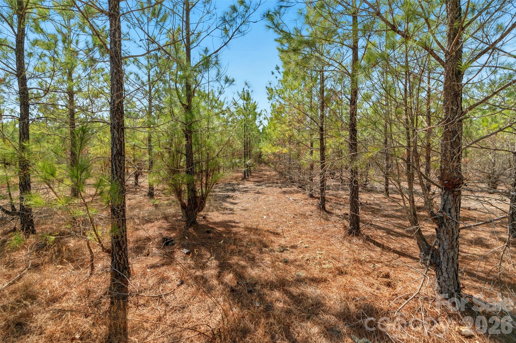 931 Charlie Johnson Road 2 Property Photo 12