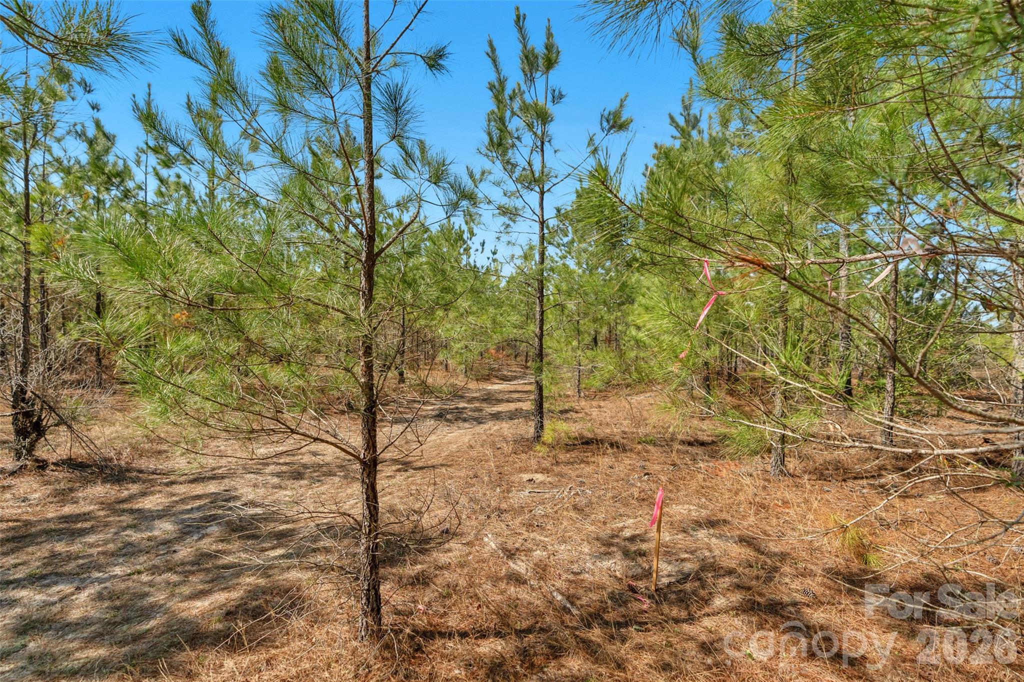 931 Charlie Johnson Road 2 Property Photo 13