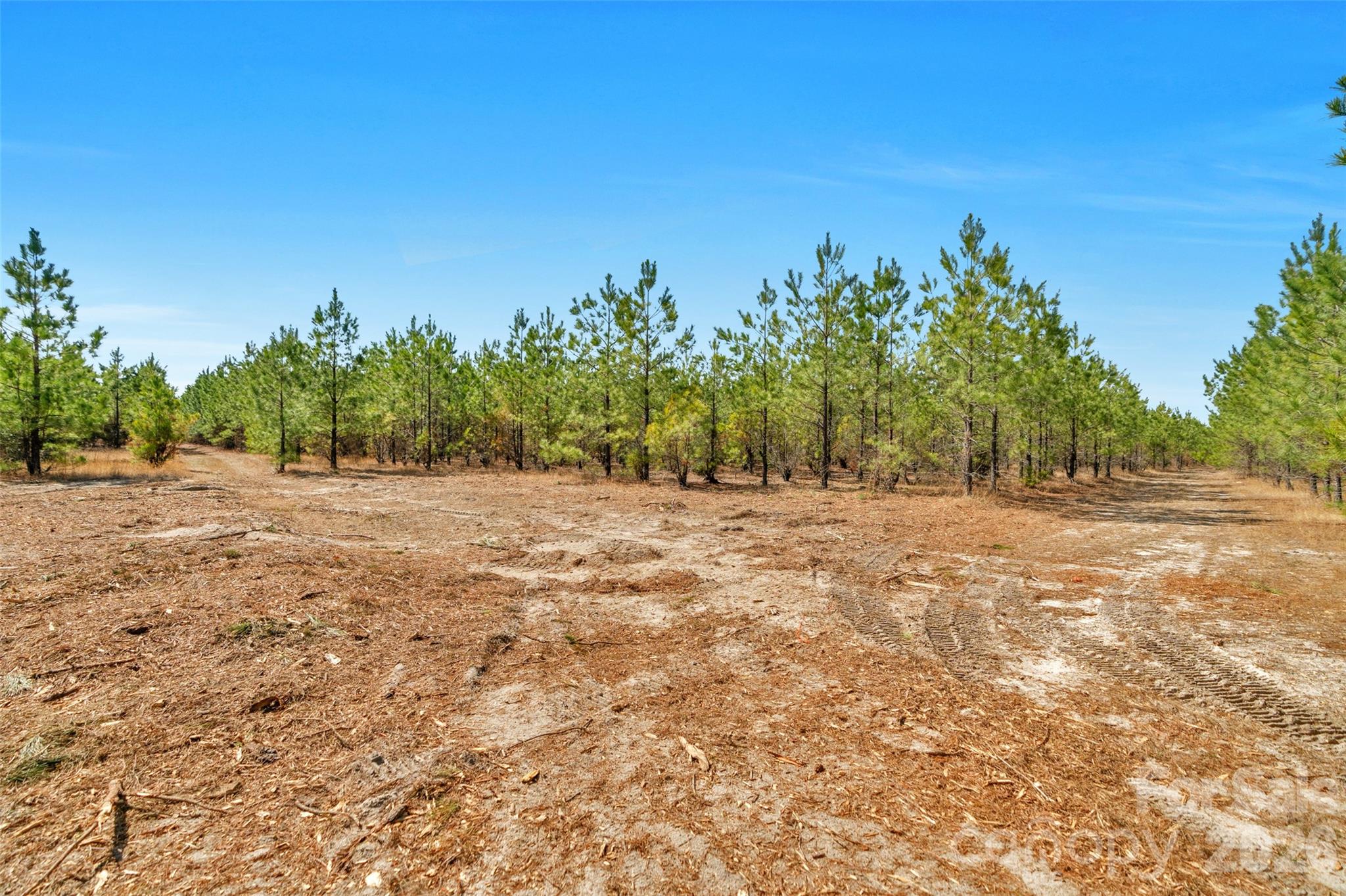 931 Charlie Johnson Road 2 Property Photo 14